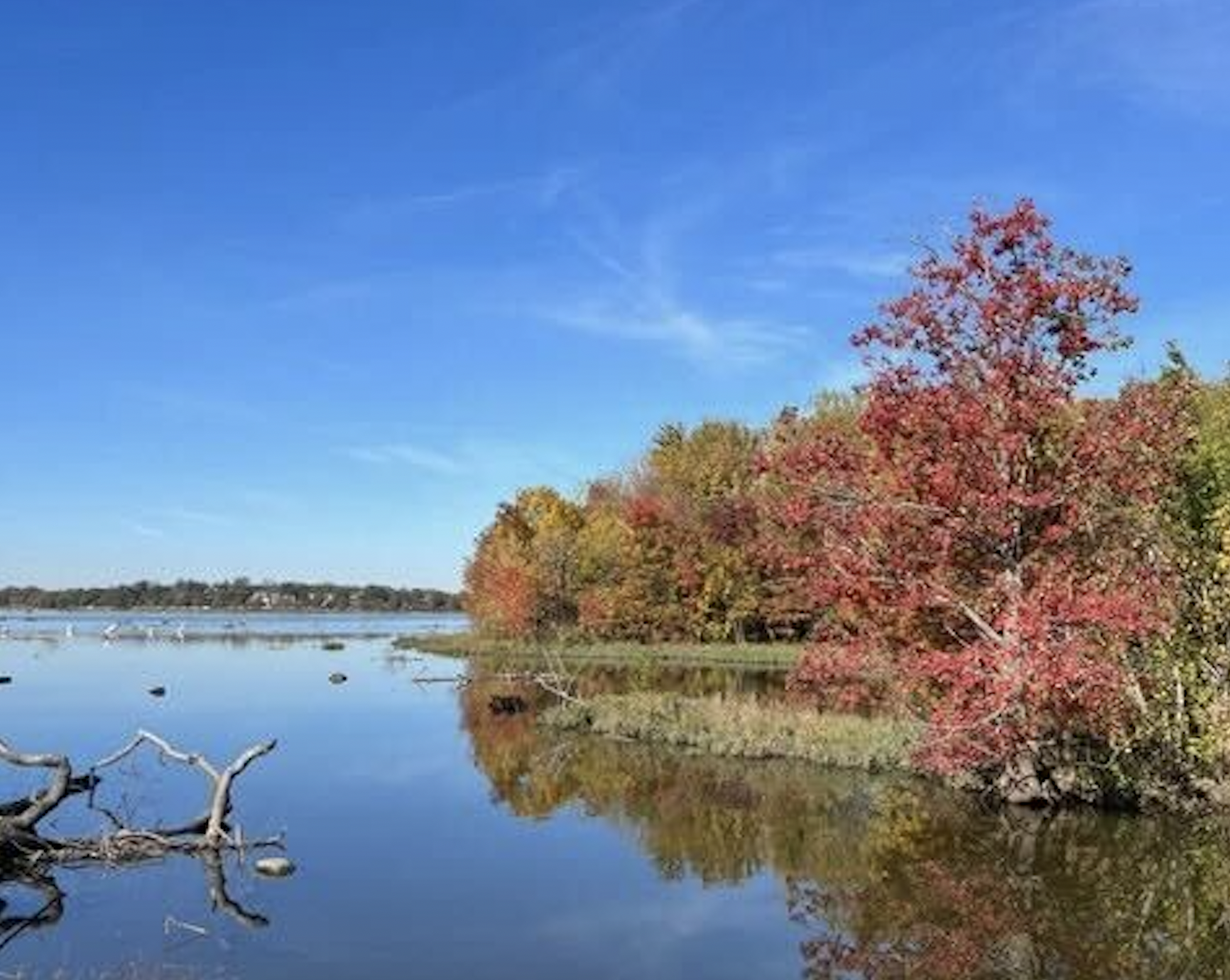 Fall trees surrounding a lake