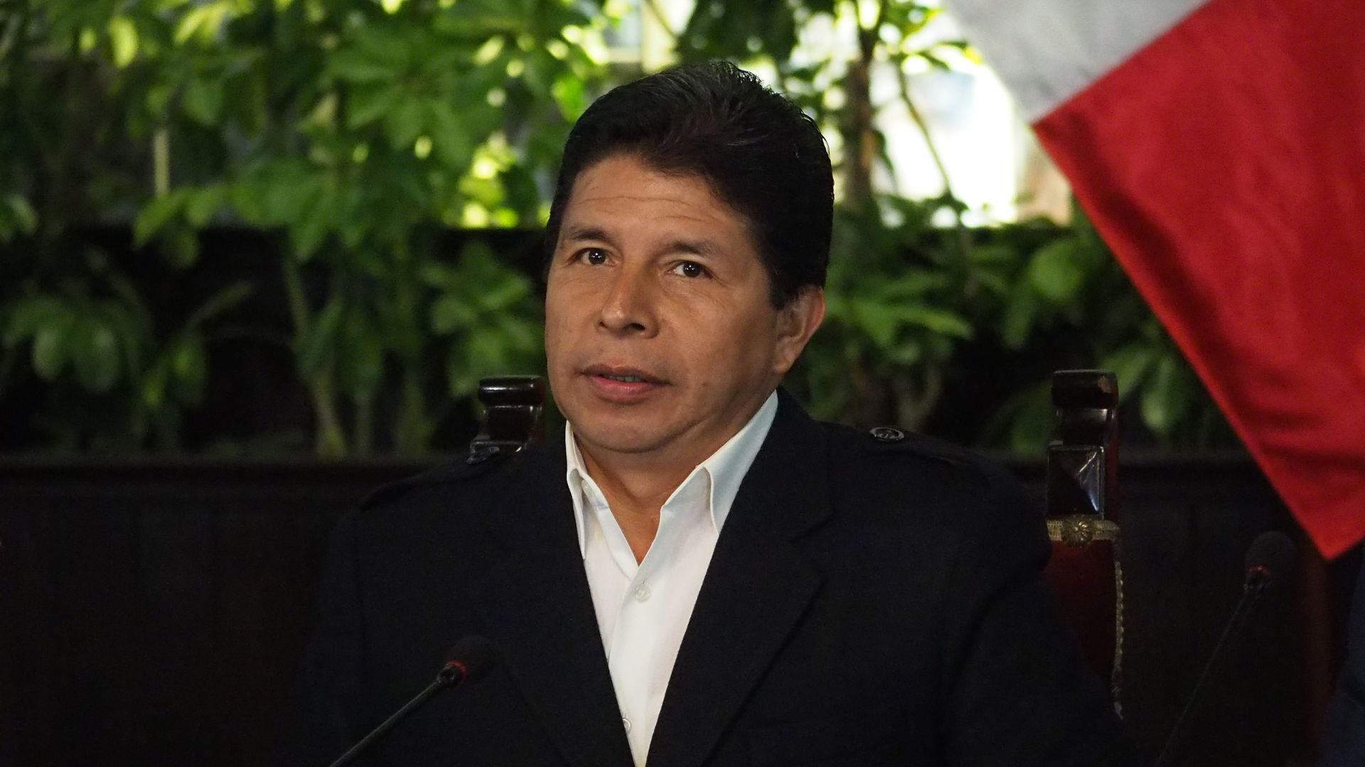 President Pedro Castillo