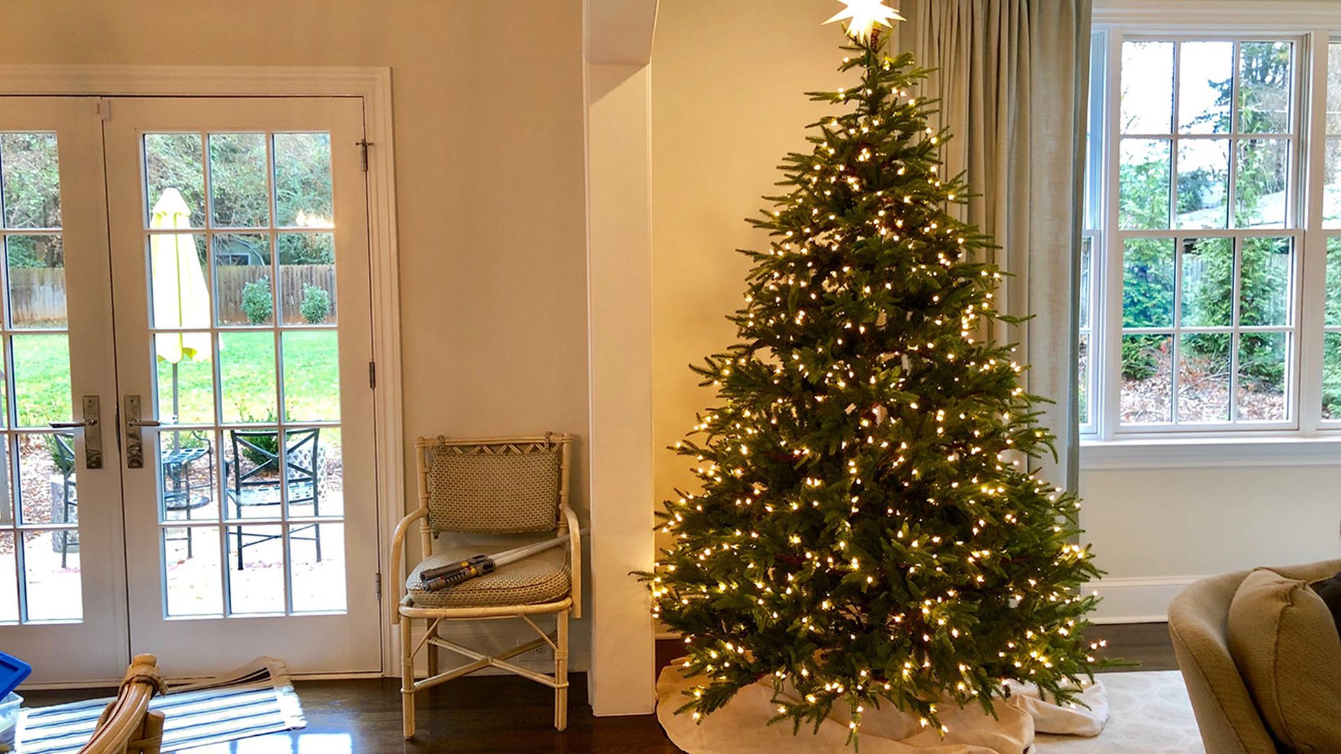 Can you be allergic to a Christmas tree? 5 things I learned about