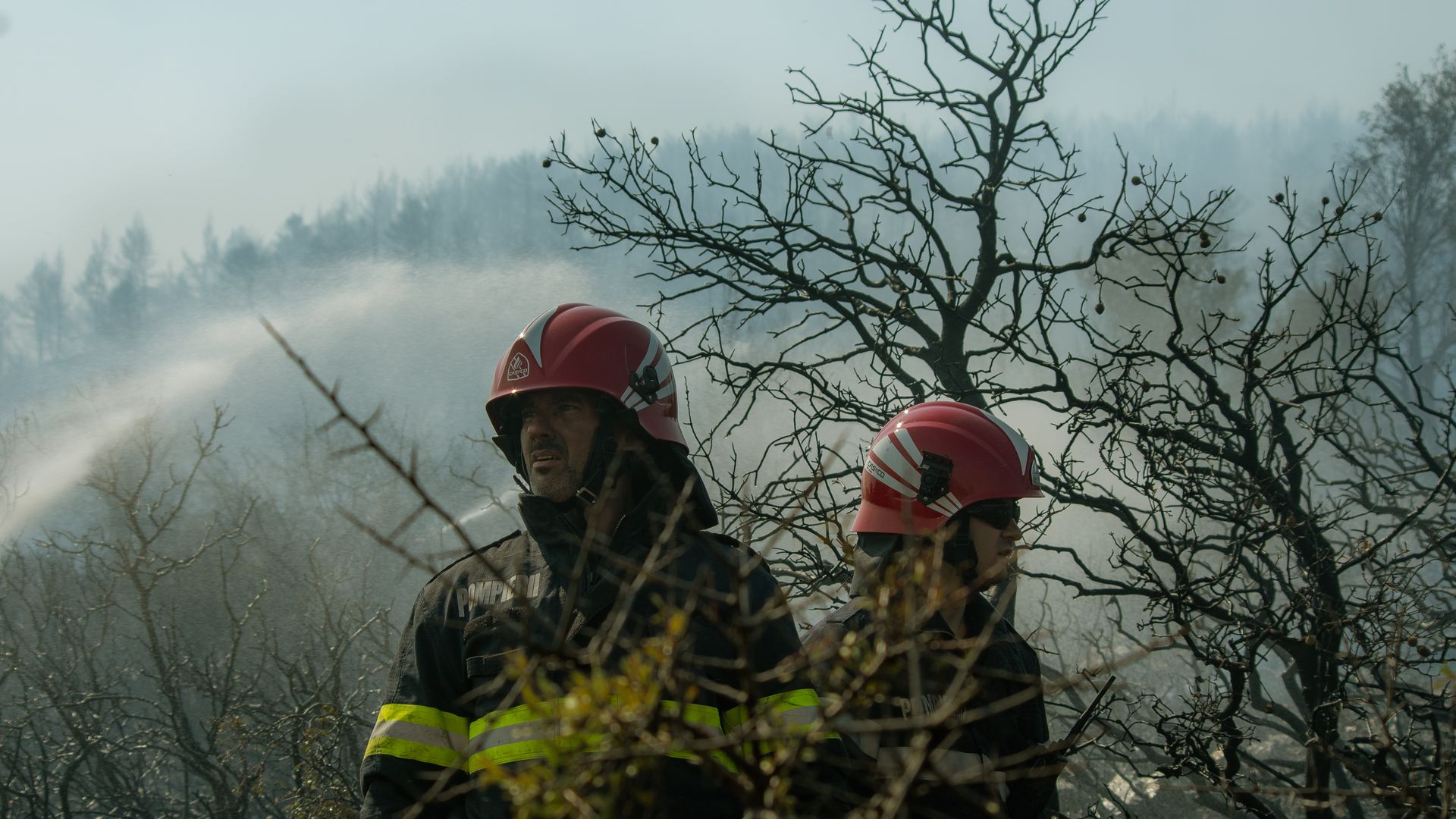 Firefighters battling a fire near Vilia, Greece, in August 2021.