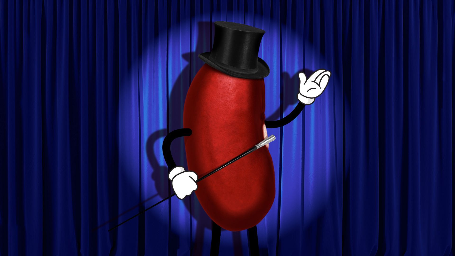 Illustration of a kidney bean wearing a top hat and holding a cane, dancing in front of a blue velvet curtain and in a spotlight.