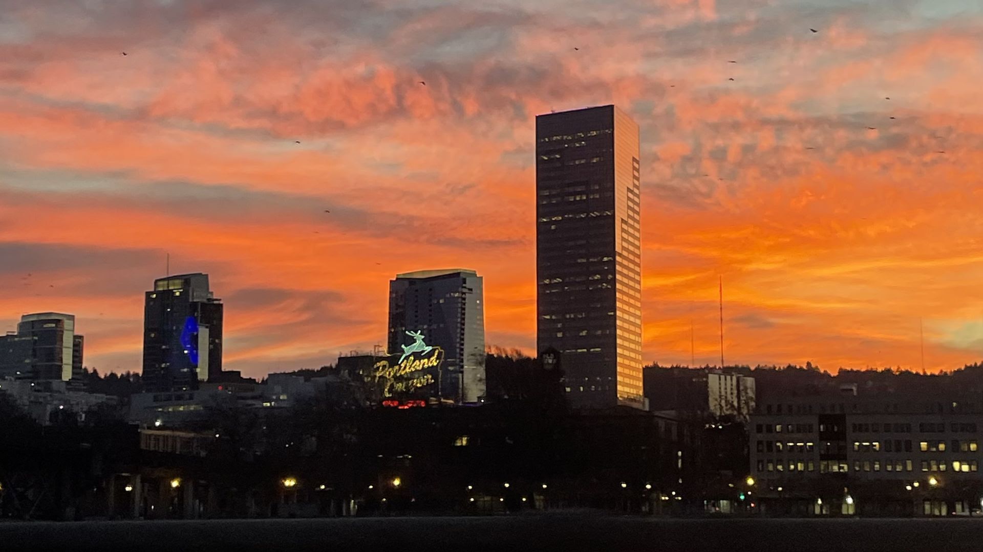 Sunset over a city skyline with a tall dark rectangular tower, orange-pink clouds, and birds; a lit Portland sign with a green deer stands near the lower left.