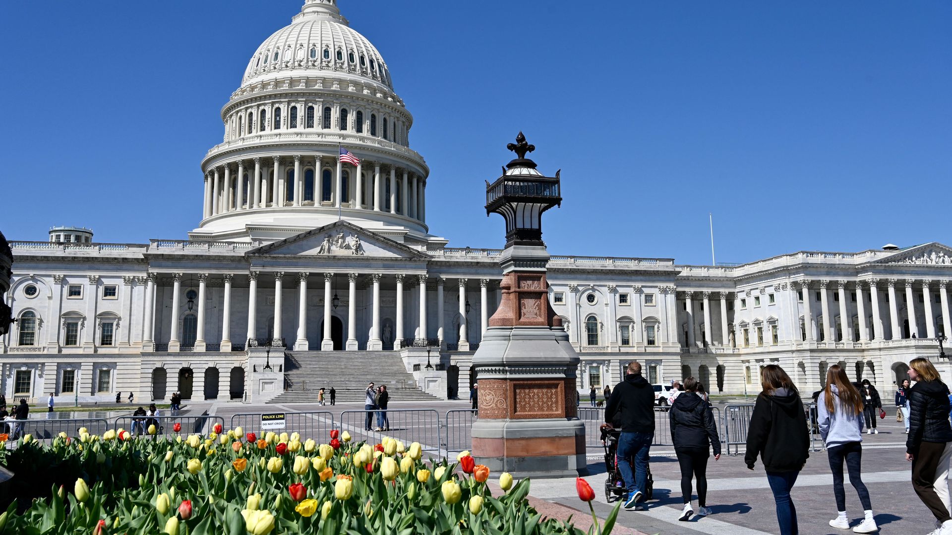 Tourists are seen walking by tulips in front of the U.S. Capitol.