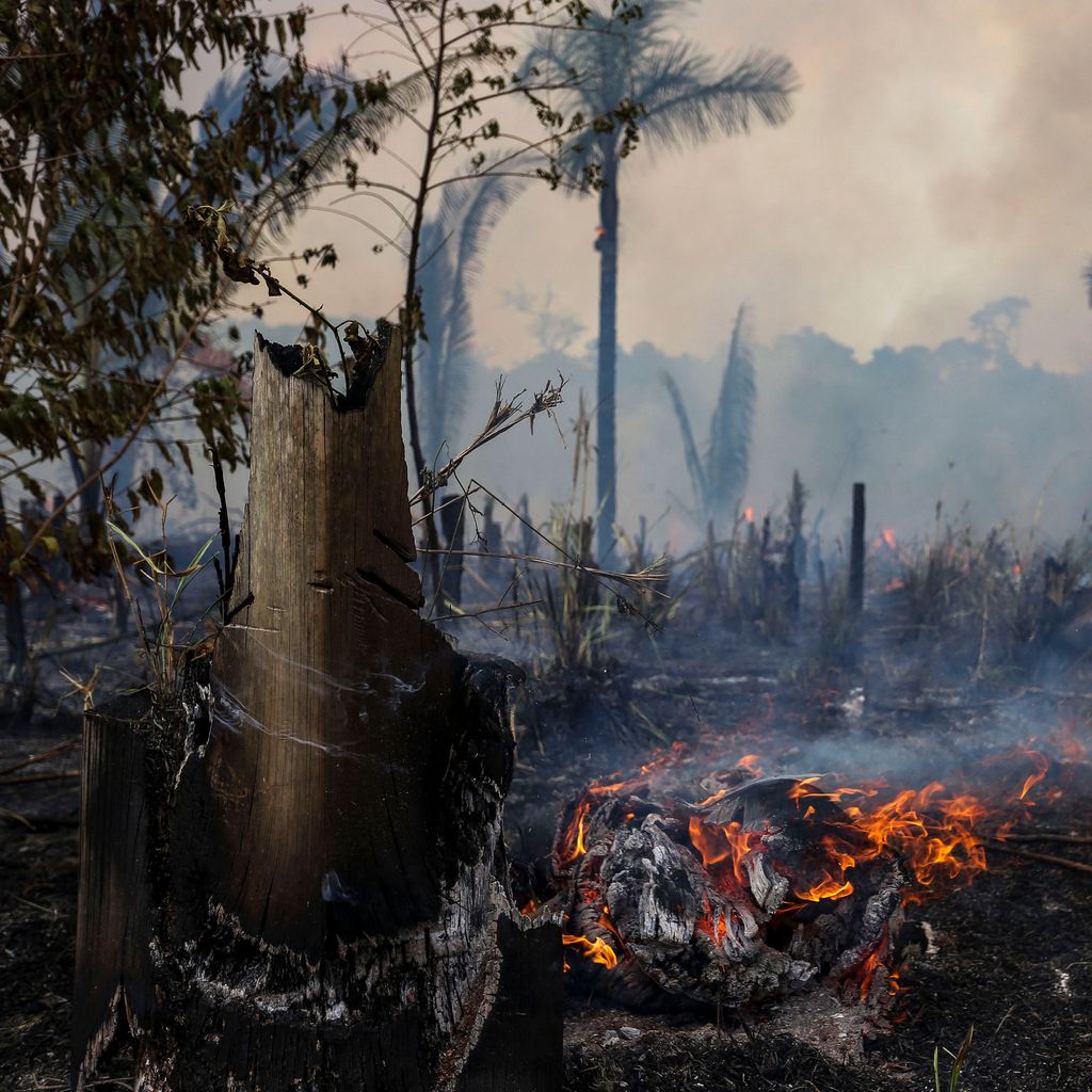 What Lula's victory in Brazil means for the  rainforest and climate  change - Vox