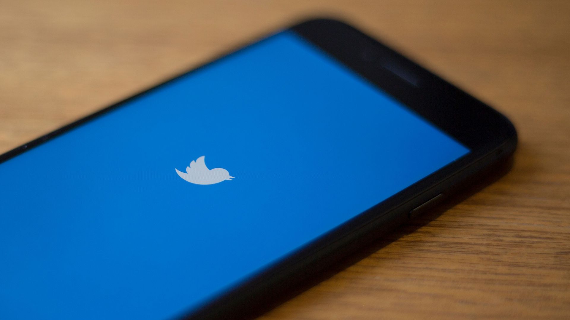 The Twitter logo on a phone.