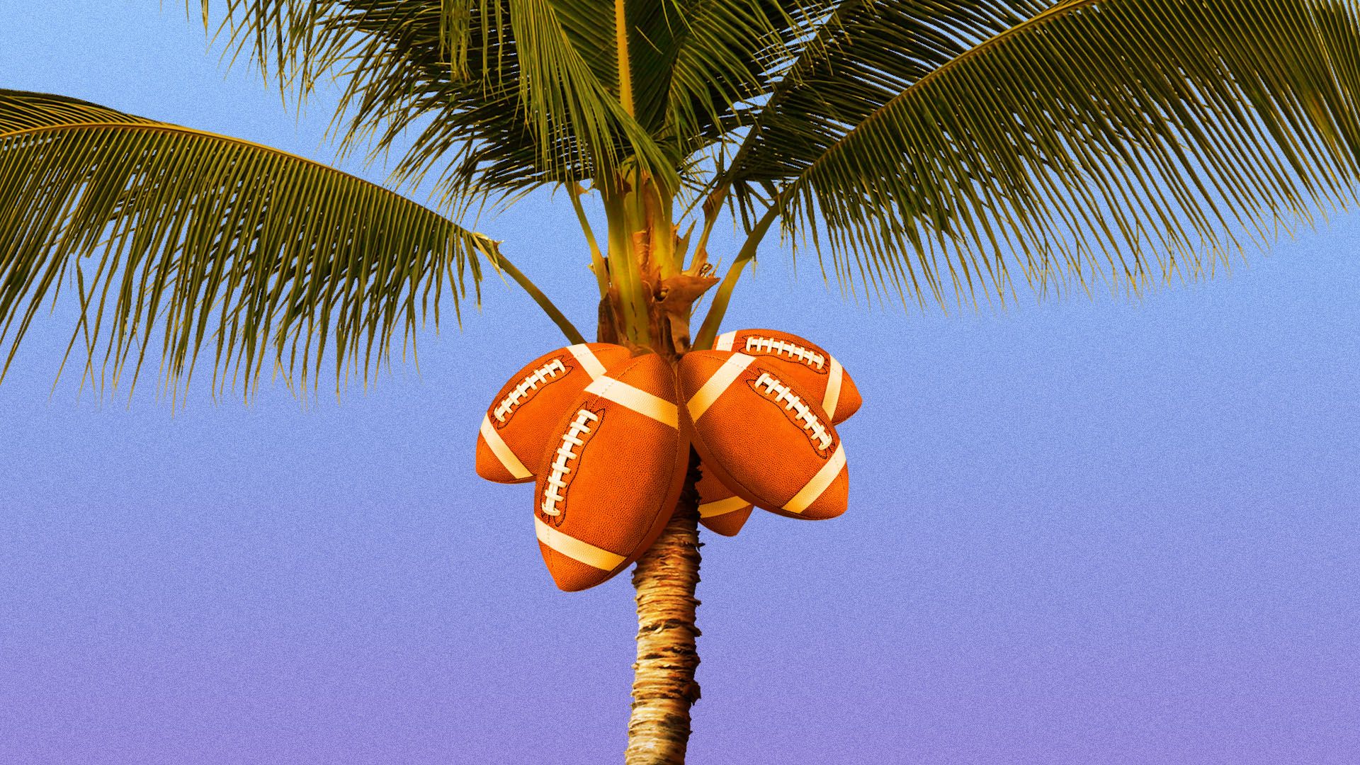 Illustration of a palm tree with footballs for coconuts