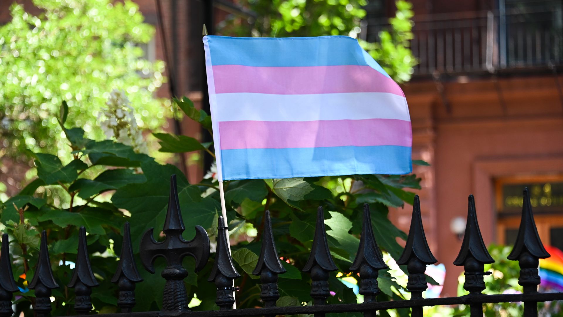 Photo of a transgender flag on a fence