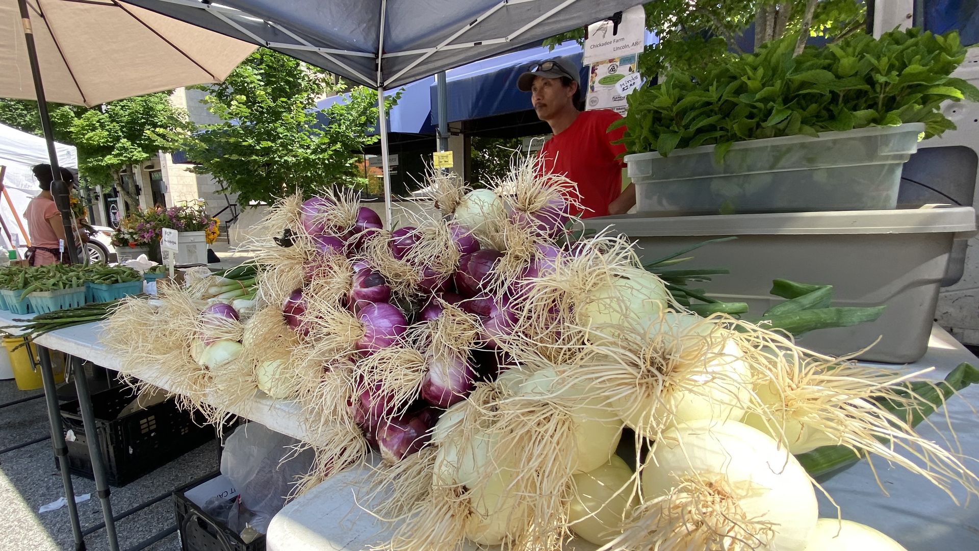 Outdoor market stall under a blue canopy. A table overflows with white and purple onions with long dried roots. A vendor in a red shirt stands behind, while trays of green herbs sit nearby.