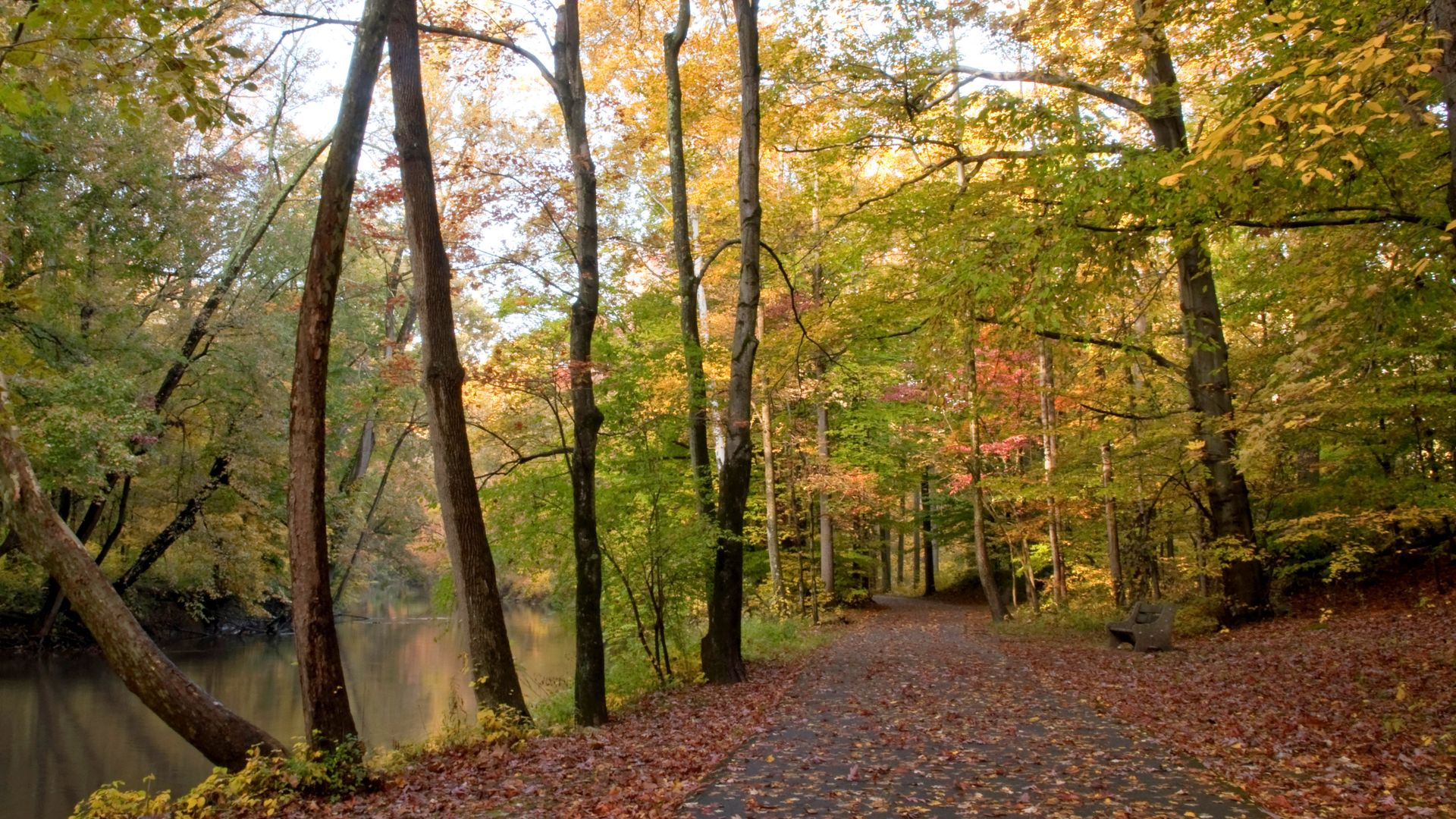 A walking path in Fairmount Park.
