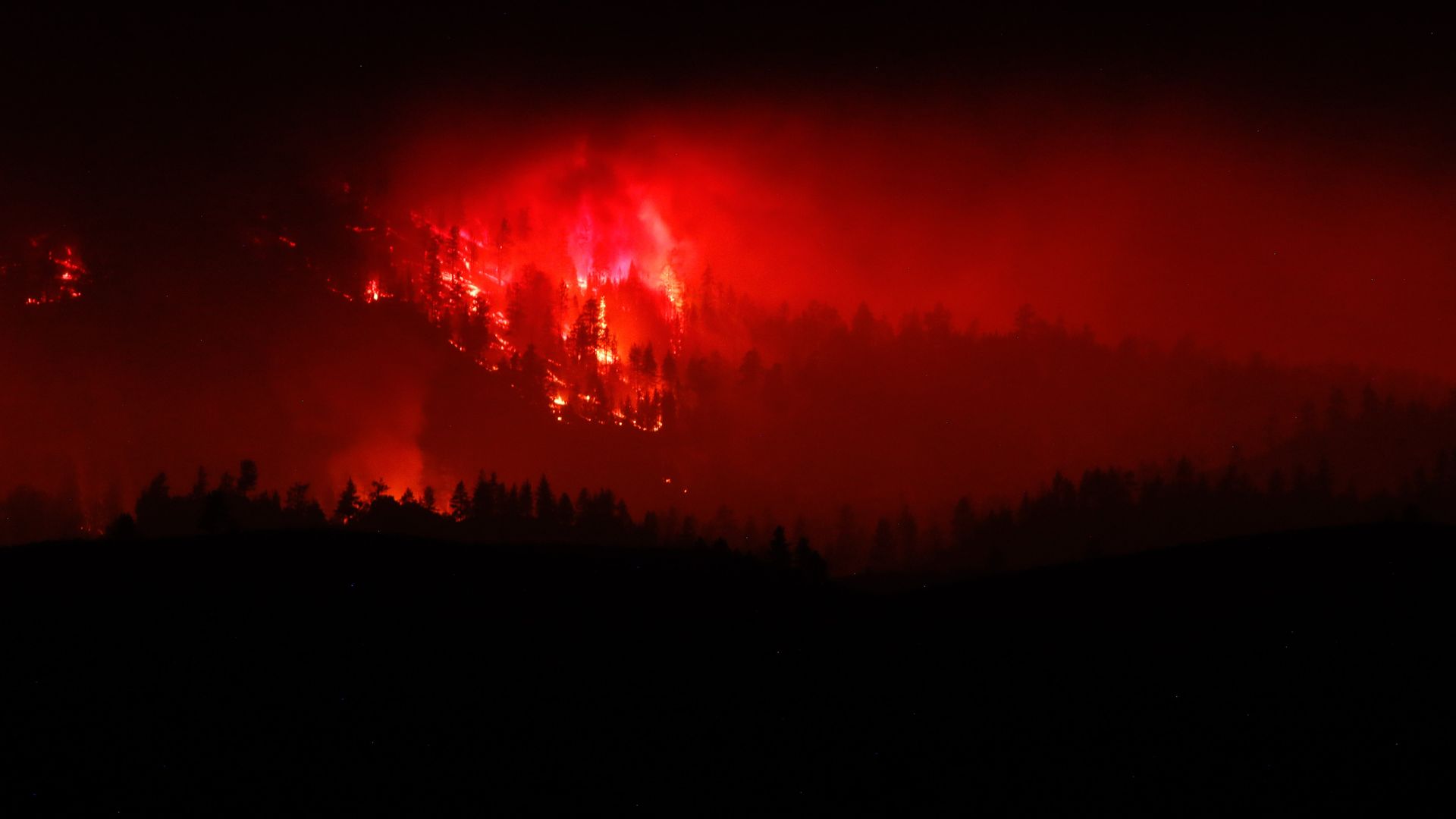  Trees burning as the Beckwourth Complex fire approaches hwy 395 in California on July 9. Photo: Ty ONeil/SOPA Images/LightRocket via Getty Images)