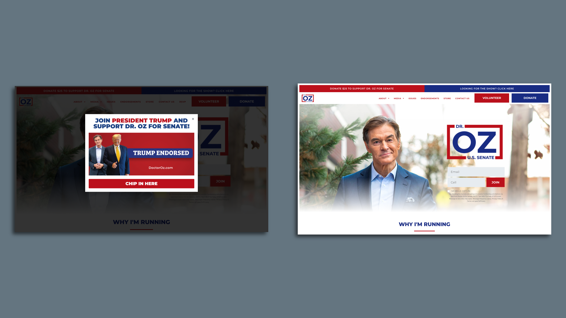 Oz's campaign website on April 15 (left) and June 18 (right). Source: Internet Archive.