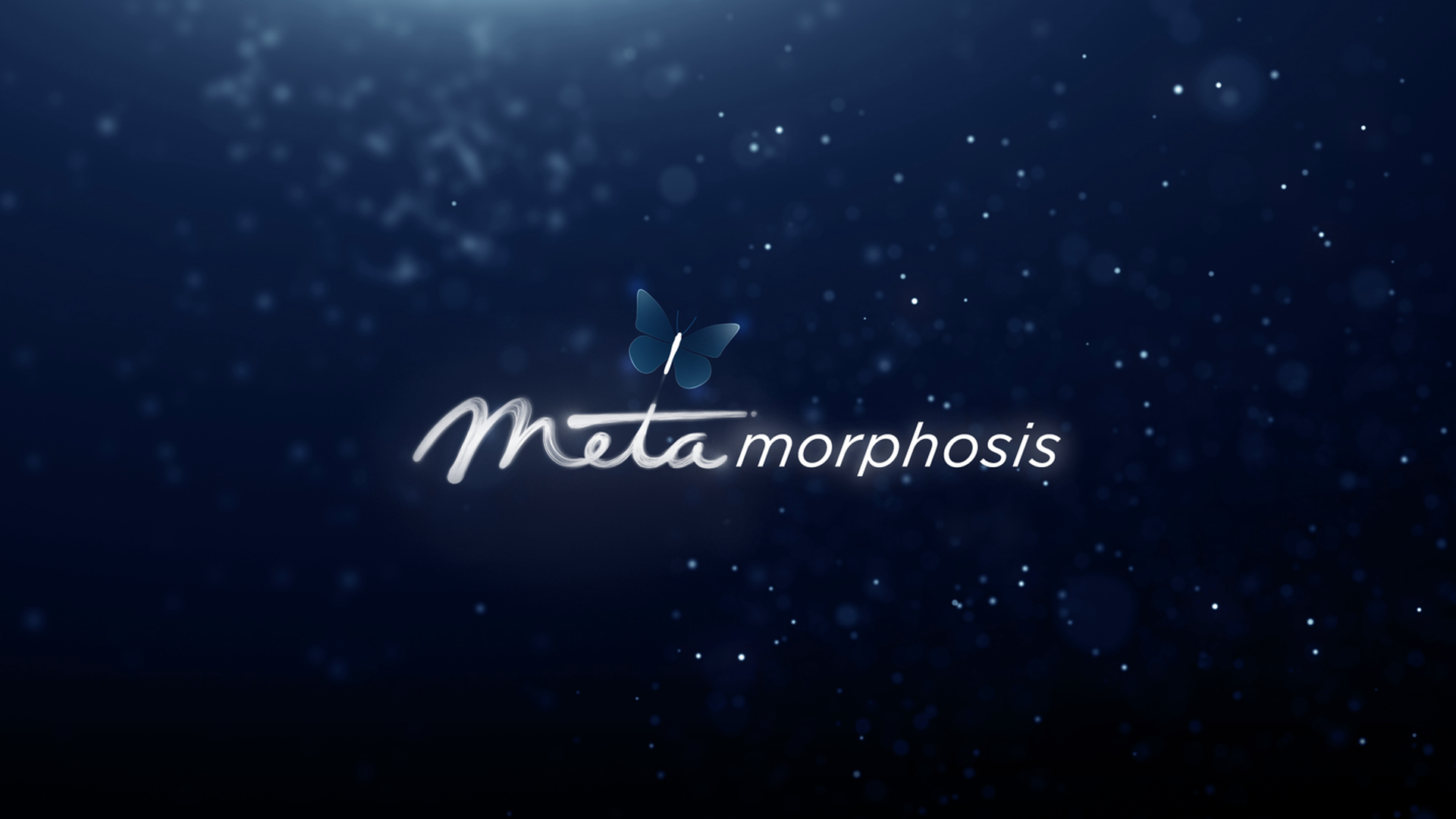 An image with the old Meta logo combined with text to form the word metamorphosis