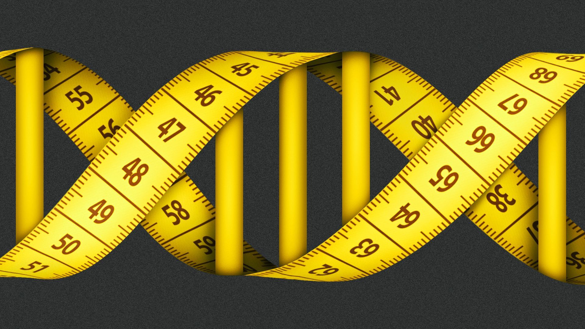 an illustration of a DNA strand made out of two measuring tapes