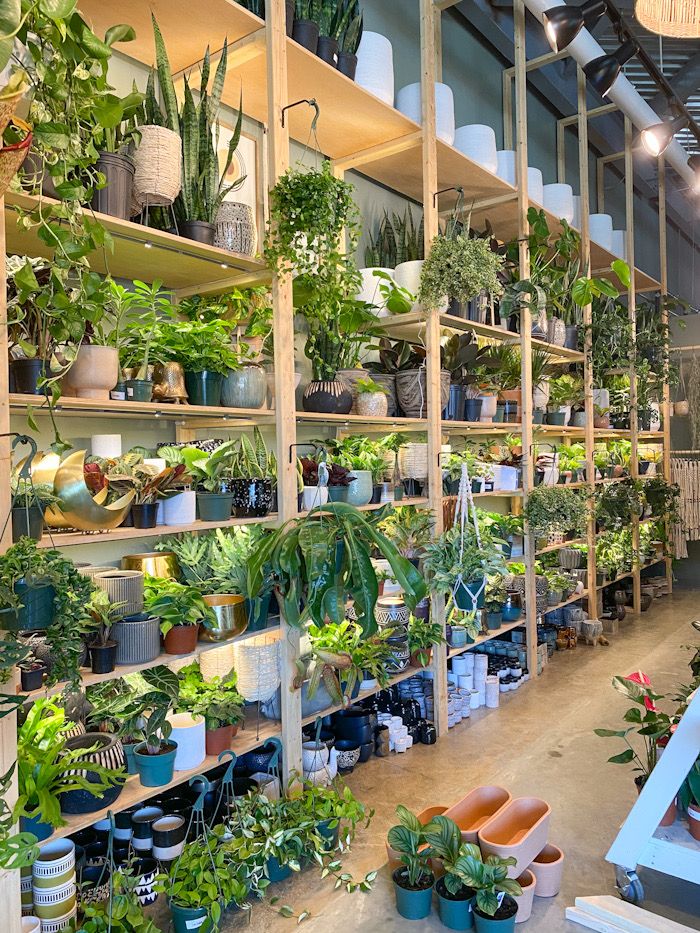 Plant Bar