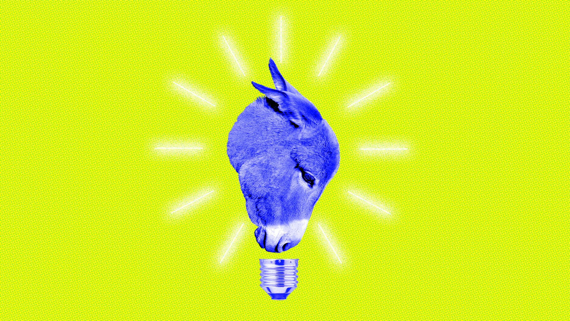 This is a donkey and a lightbulb, a symbol of the 2020 Democratic presidential election race