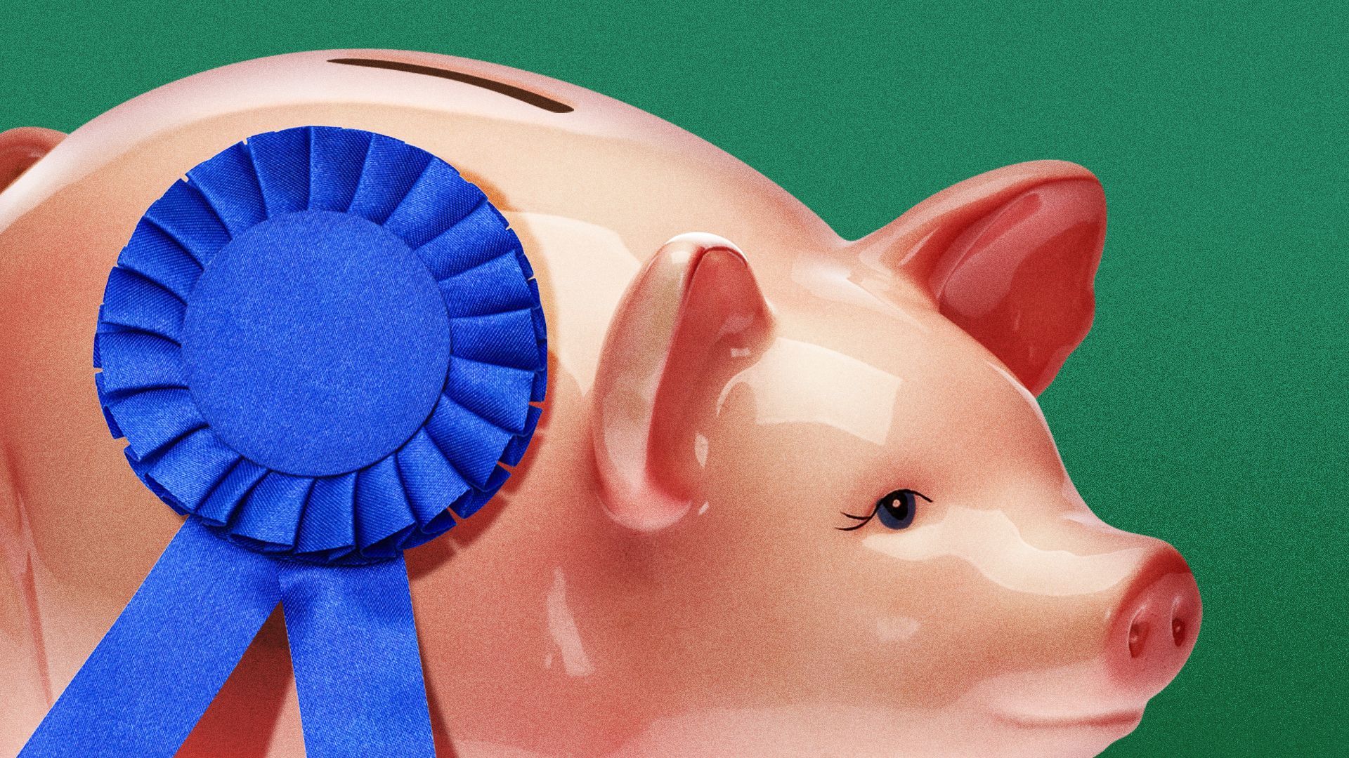 Illustration of a piggy bank with a blue ribbon, as if it is a prize pig. 