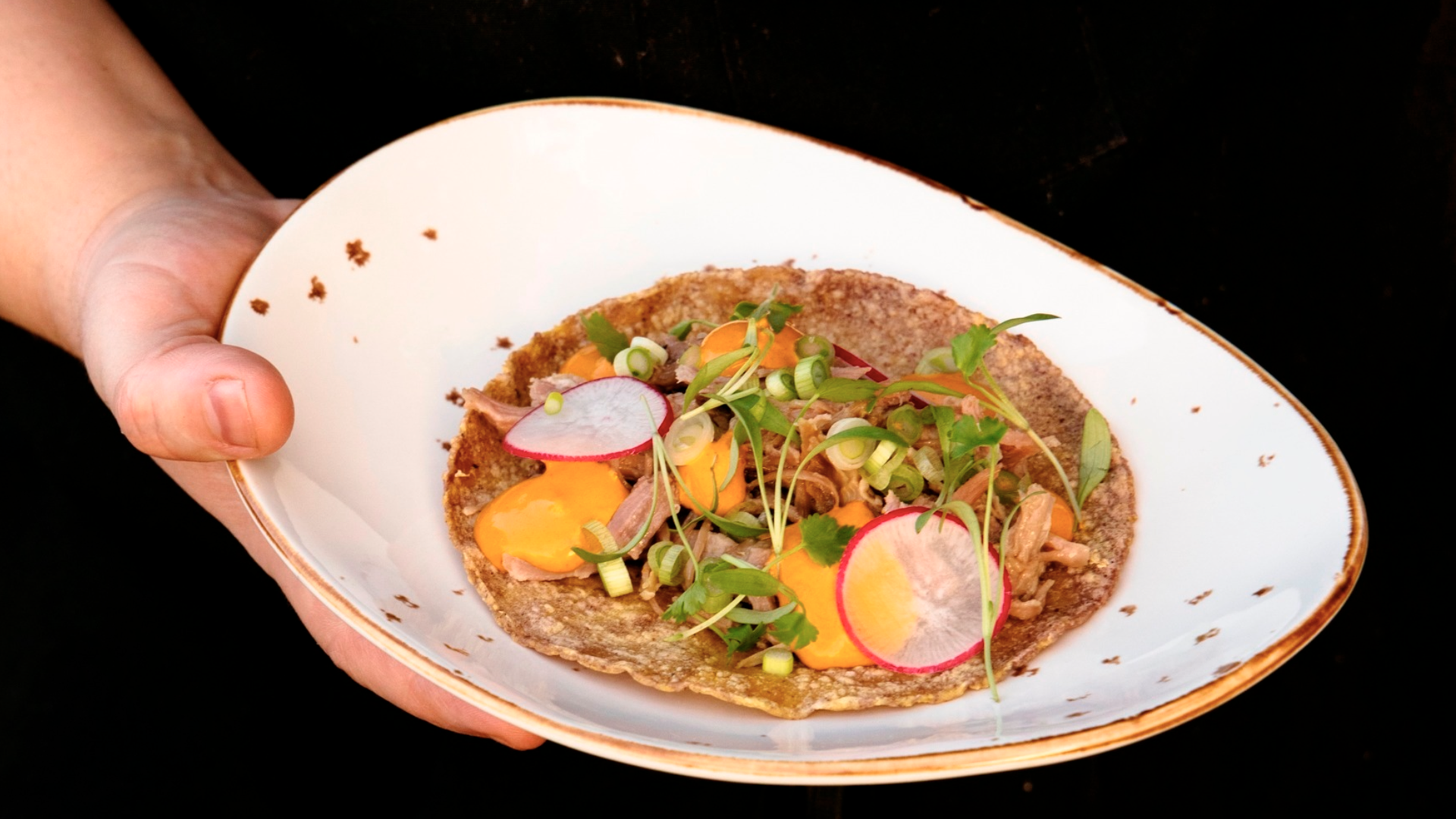 A hand holds a white oval plate with a crisp tortilla topped with shredded meat, orange sauce, radish slices, chopped green onions, and fresh microgreens.