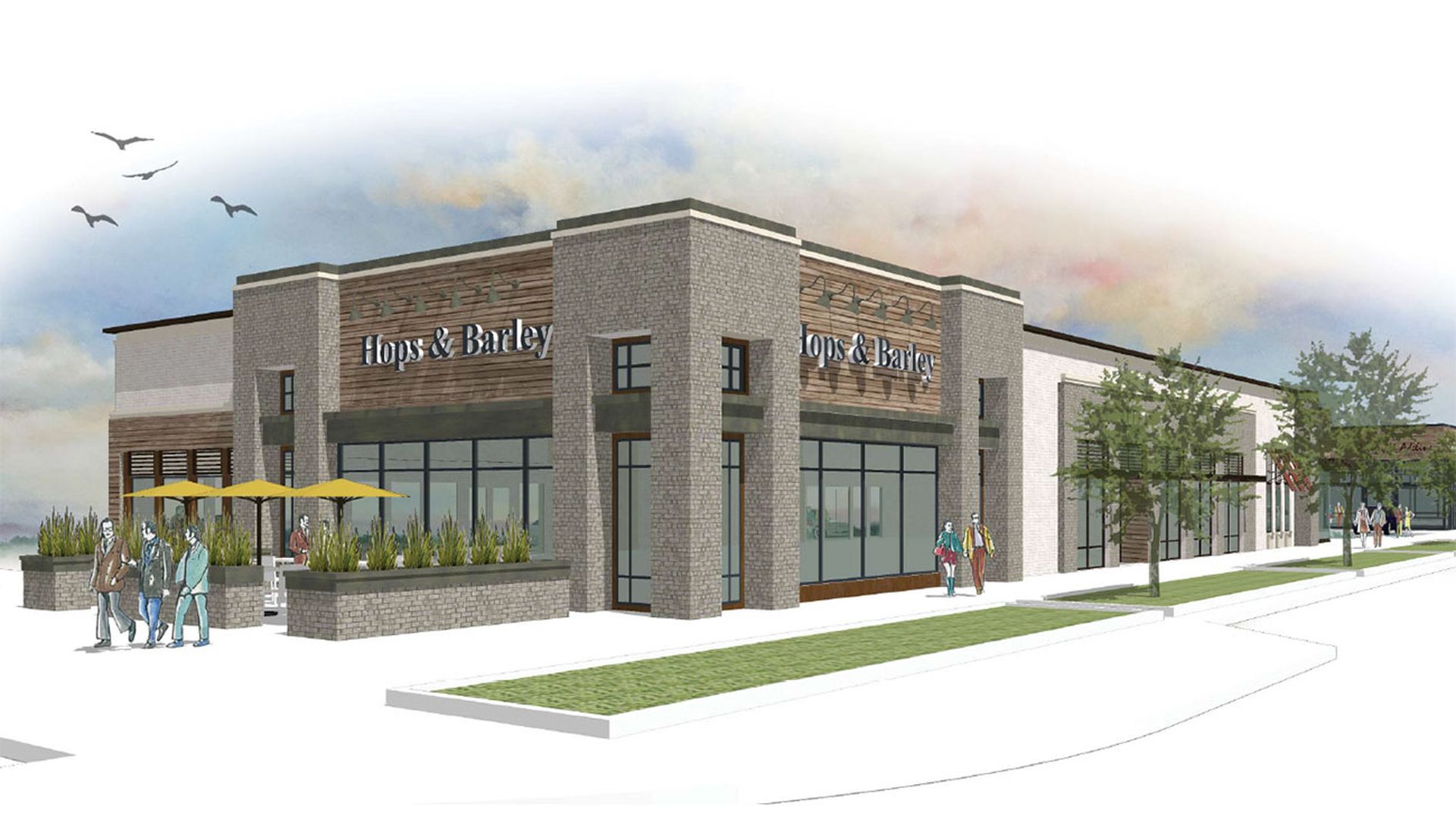 Scaleybark-Hops-&-Barley