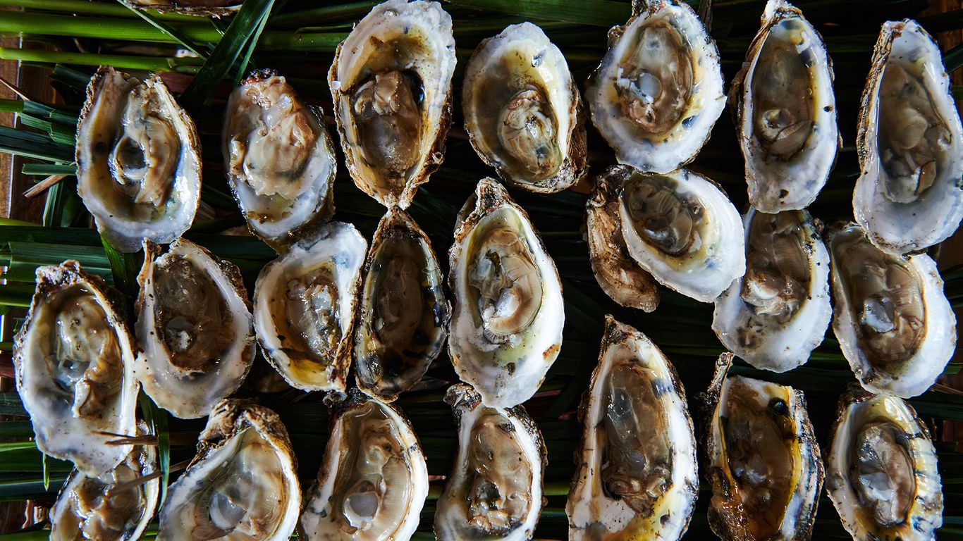 Oyster farming is experiencing significant growth in North Carolina