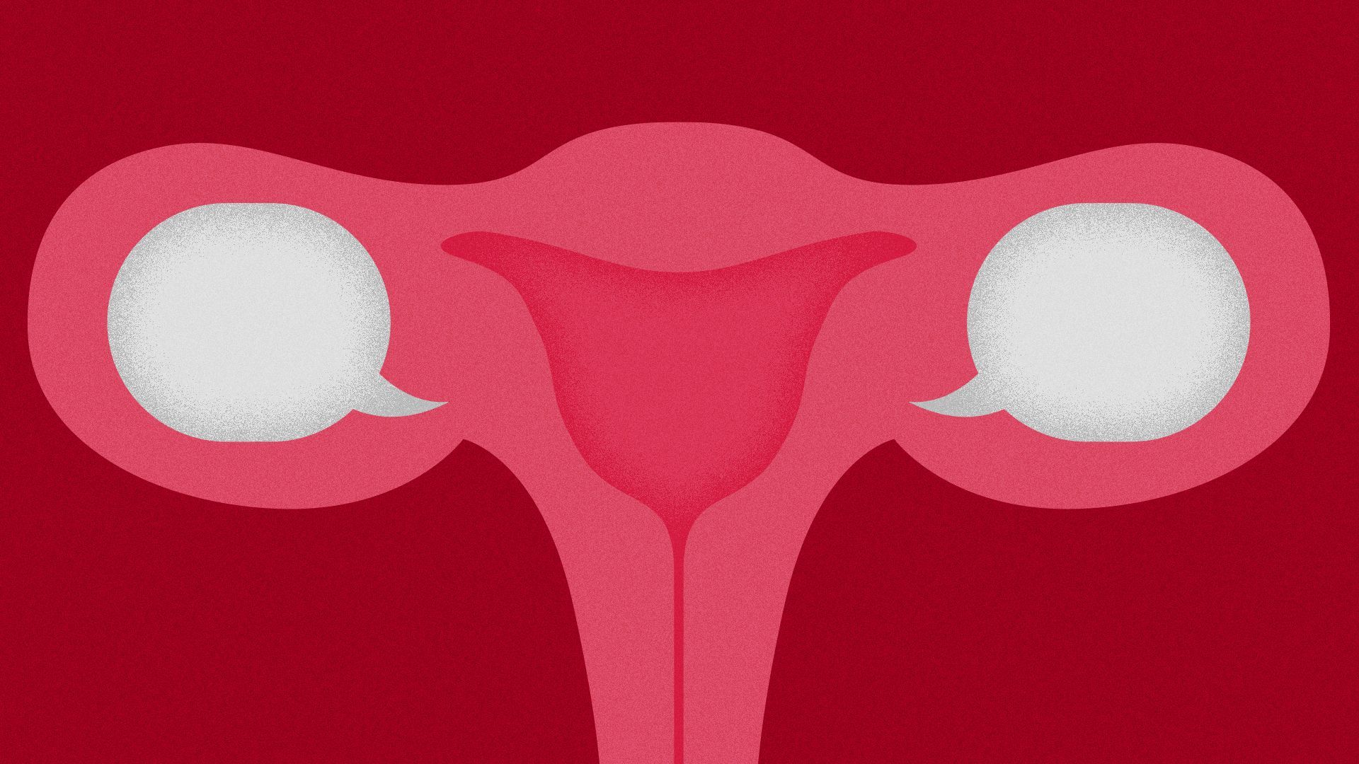 Illustration of the negative space within the female reproductive system replaced with speech bubbles. 