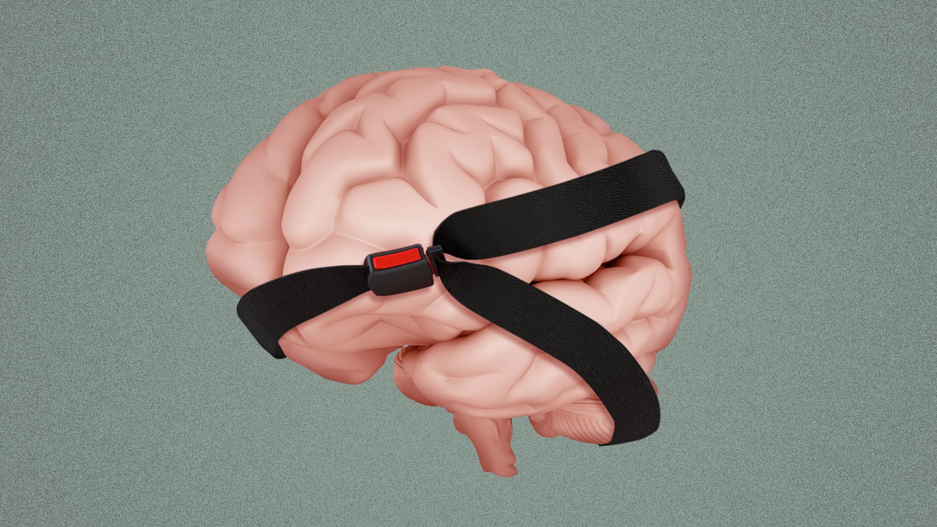 Illustration of a brain fastened in a seatbelt. 