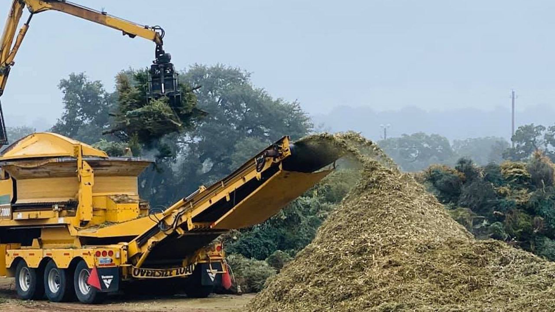 A Christmas tree is mulched by a heavy machine.