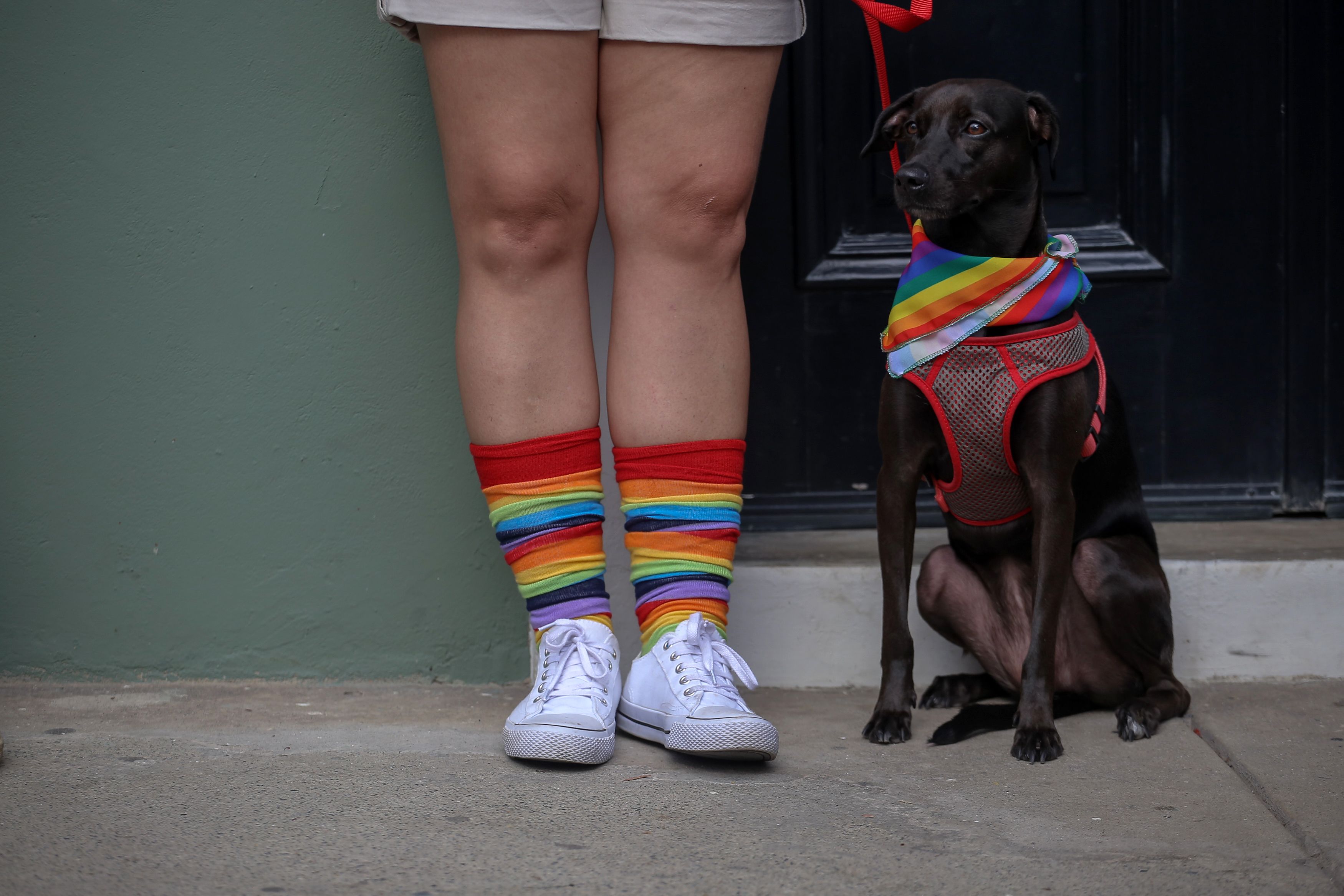 A reveler and a dog take part in the 15th Gay Pride Parade at the Old Town in Panama City on June 29.