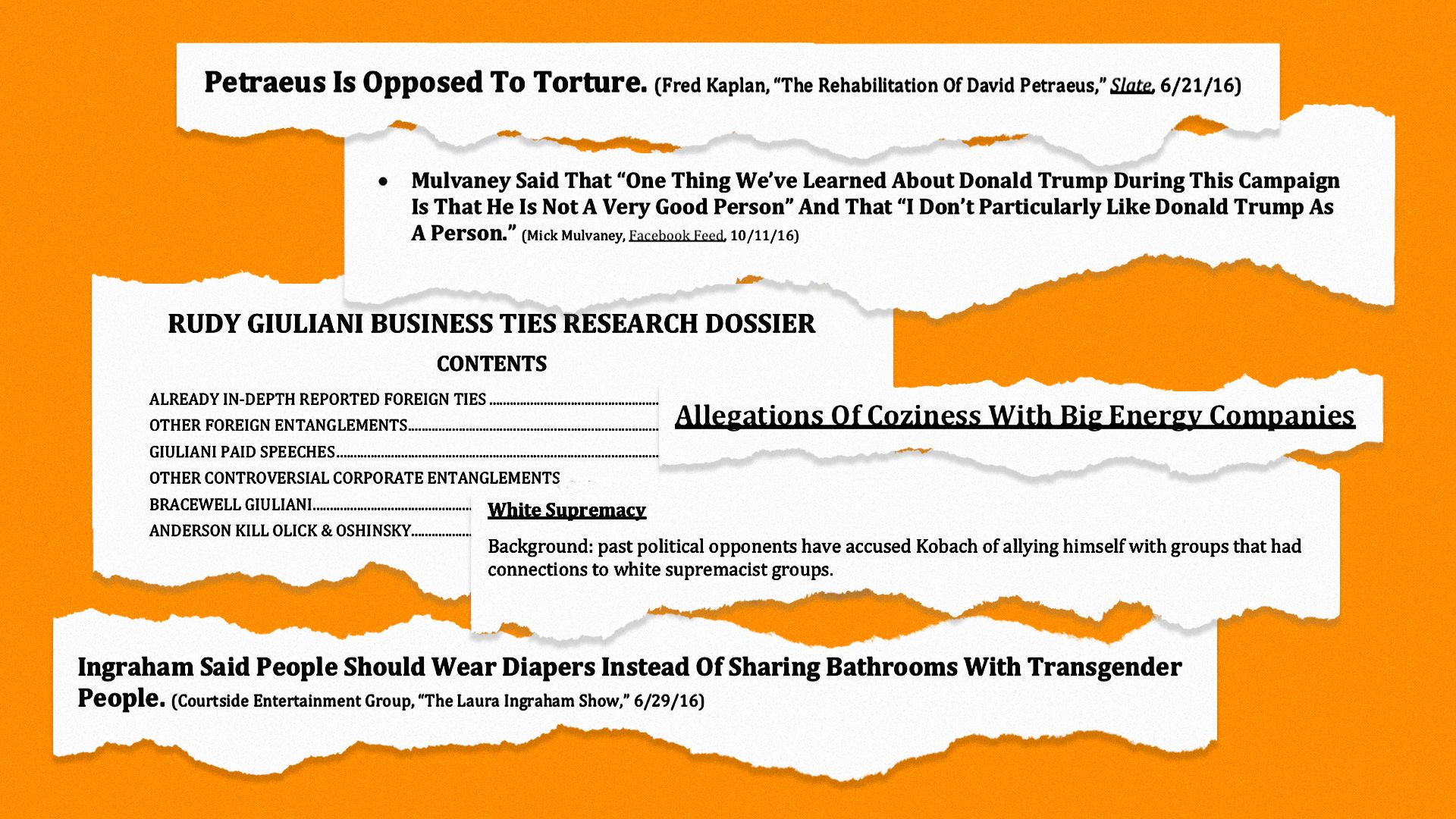 Various fragments of Trump transition team vetting documents