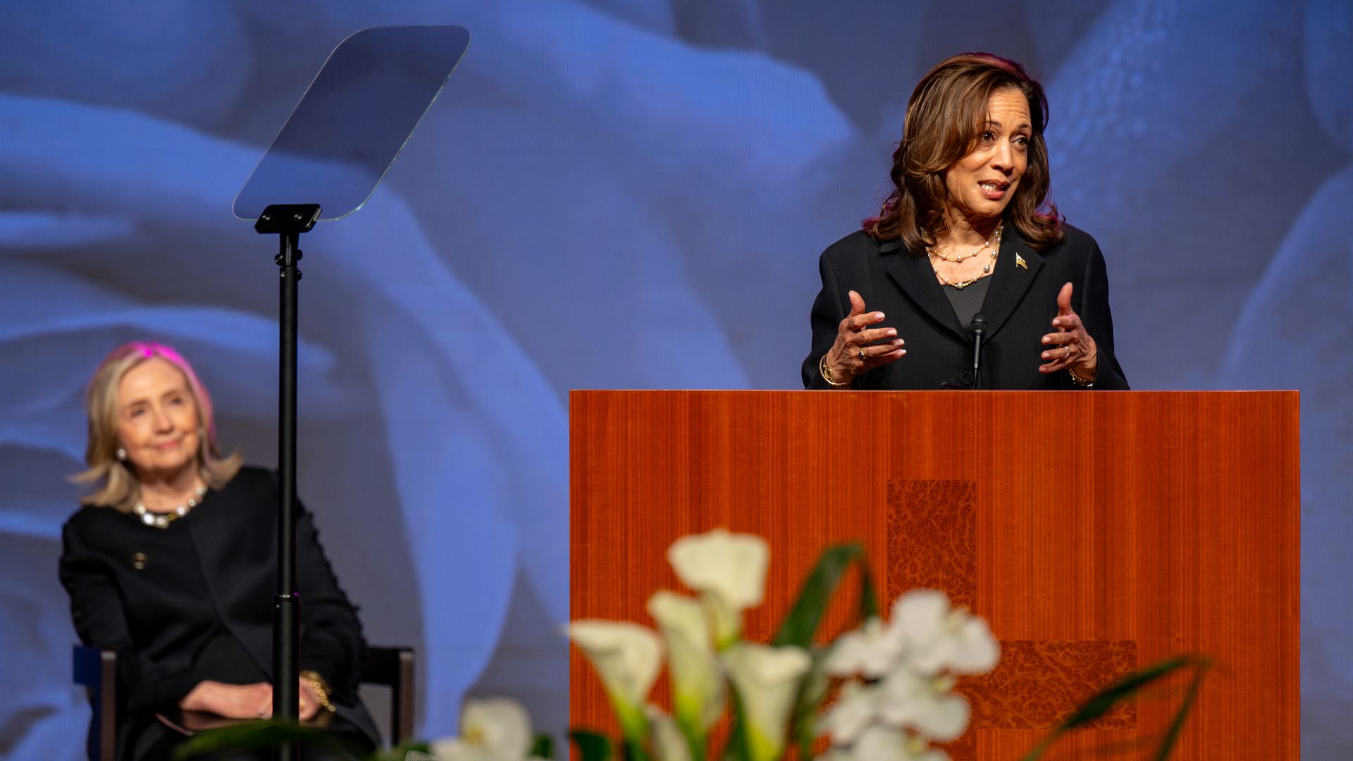 Vice President Kamala Harris speaks at a lectern