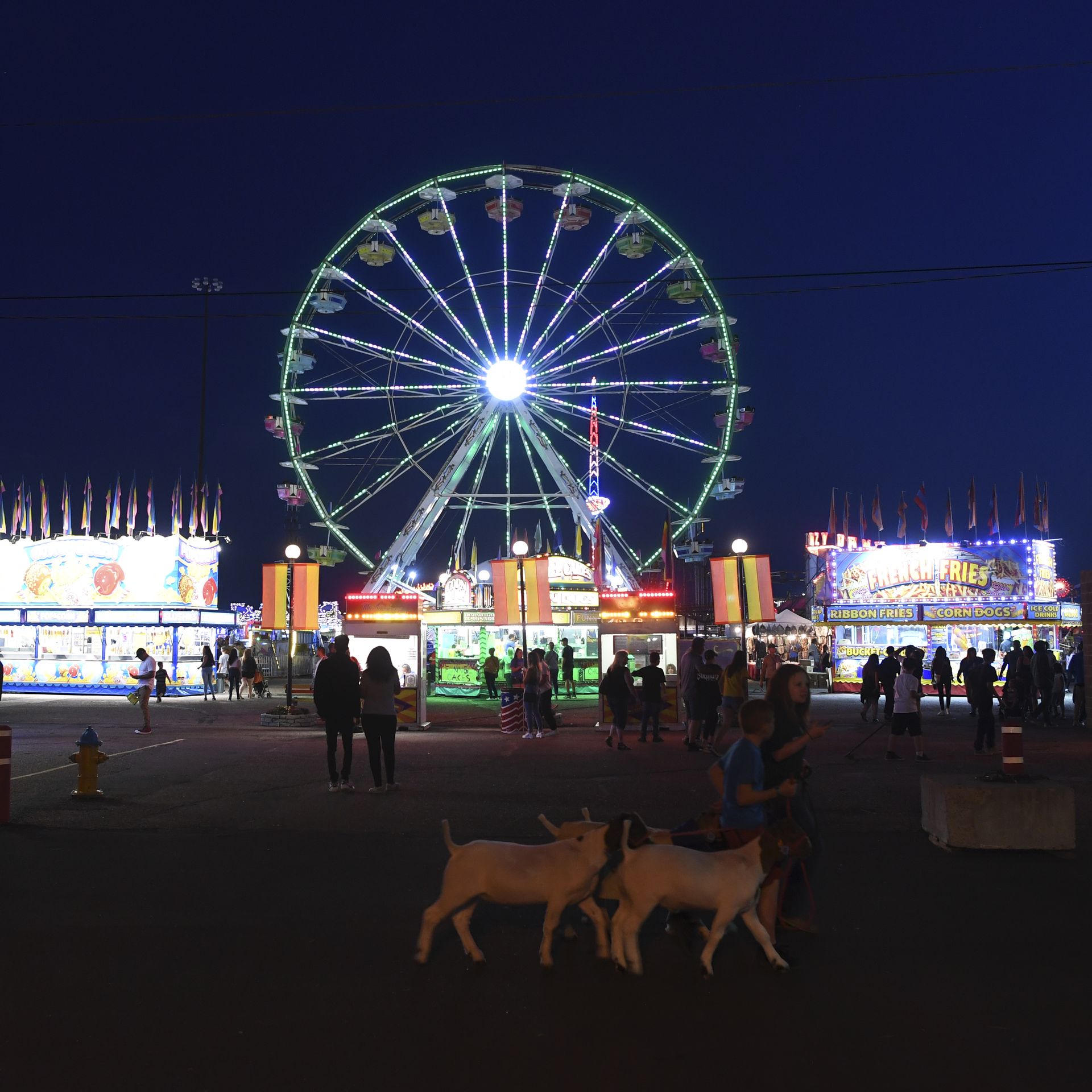 State Fair 2023, P7 Tater twisters and corn dogs from @nevinsconcessi