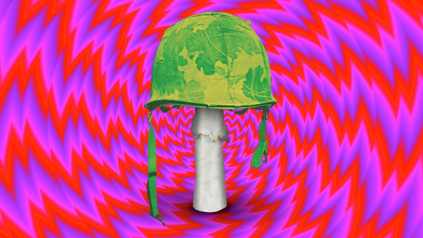 Veterans Advocate for Psychedelic Therapy Options