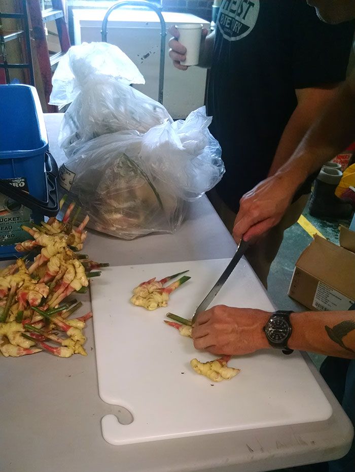 chopping fresh ginger