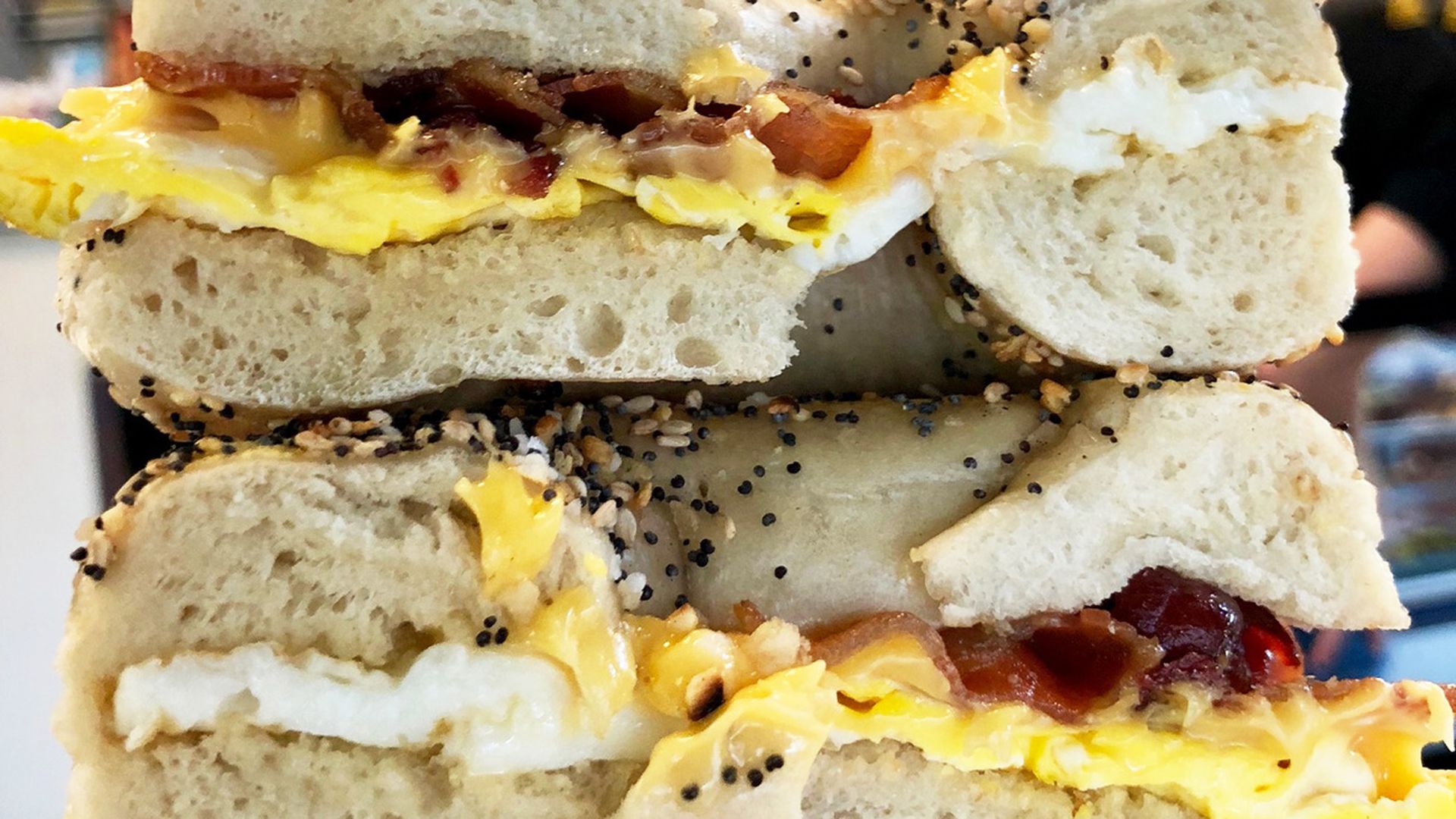 poppy's-bagels-south-end