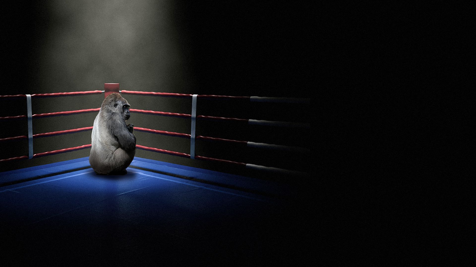 Illustration of a gorilla in a fighting ring.