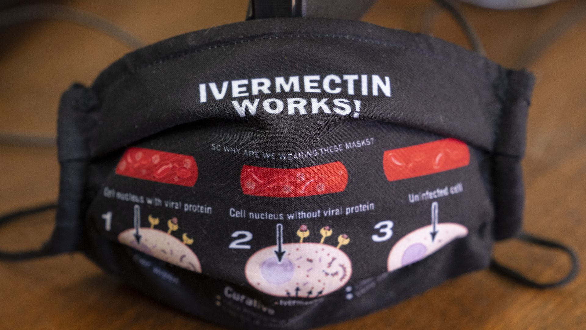 Mask showing support for ivermectin