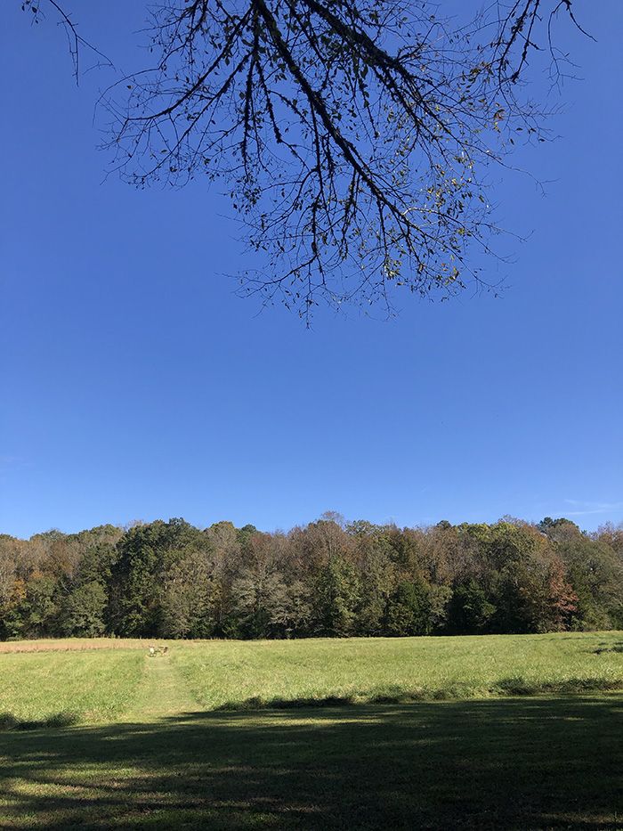 tiny house home tour views