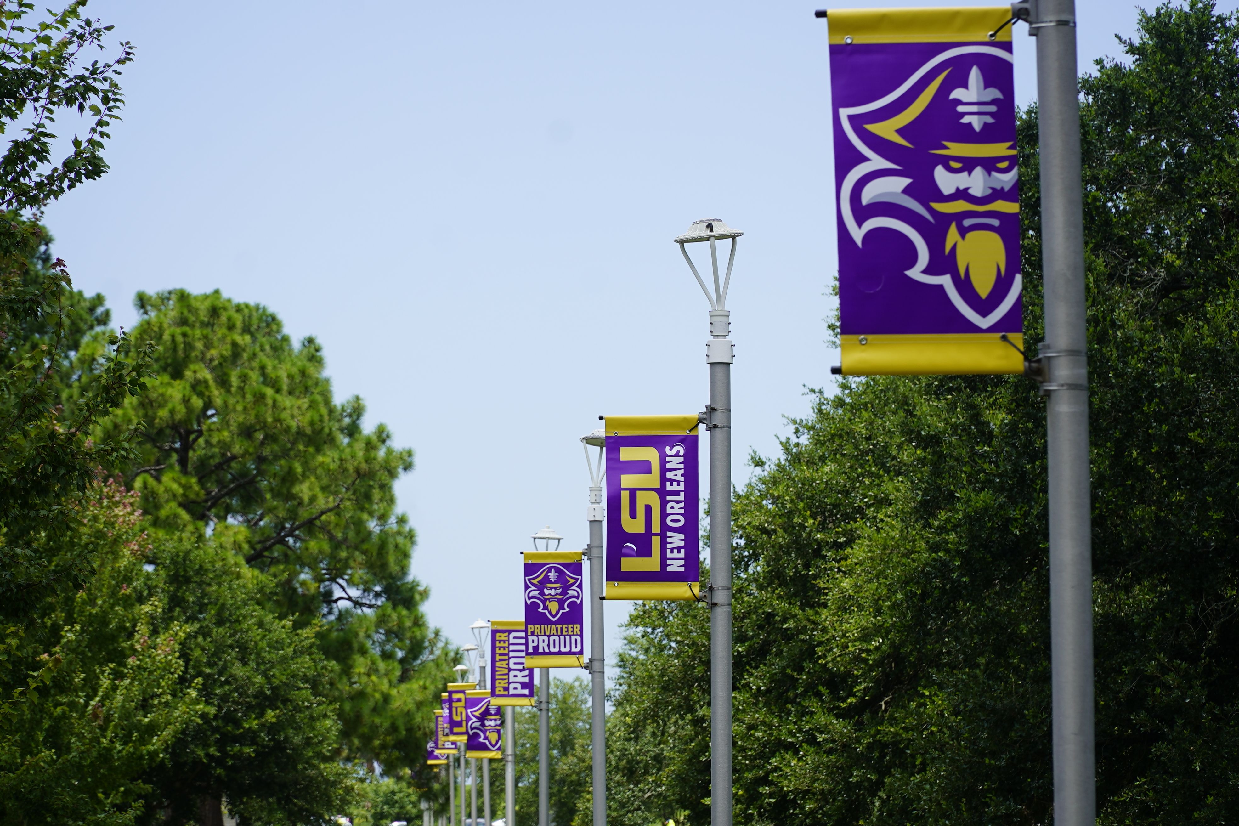 Row of lamp posts with purple and gold banners along a tree-lined street under a clear blue sky.