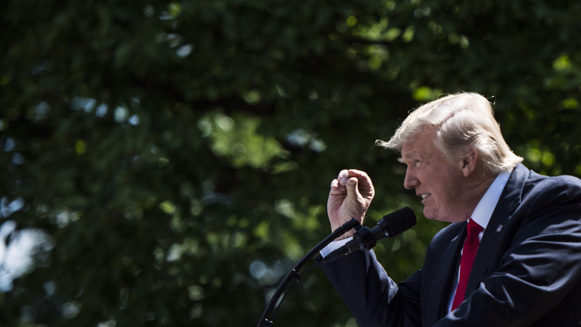 President Trump speaking