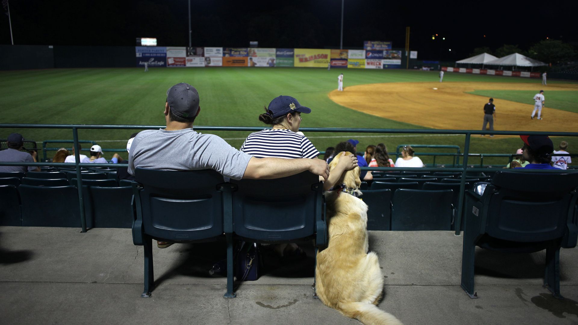 People and a dog at a baseball game.