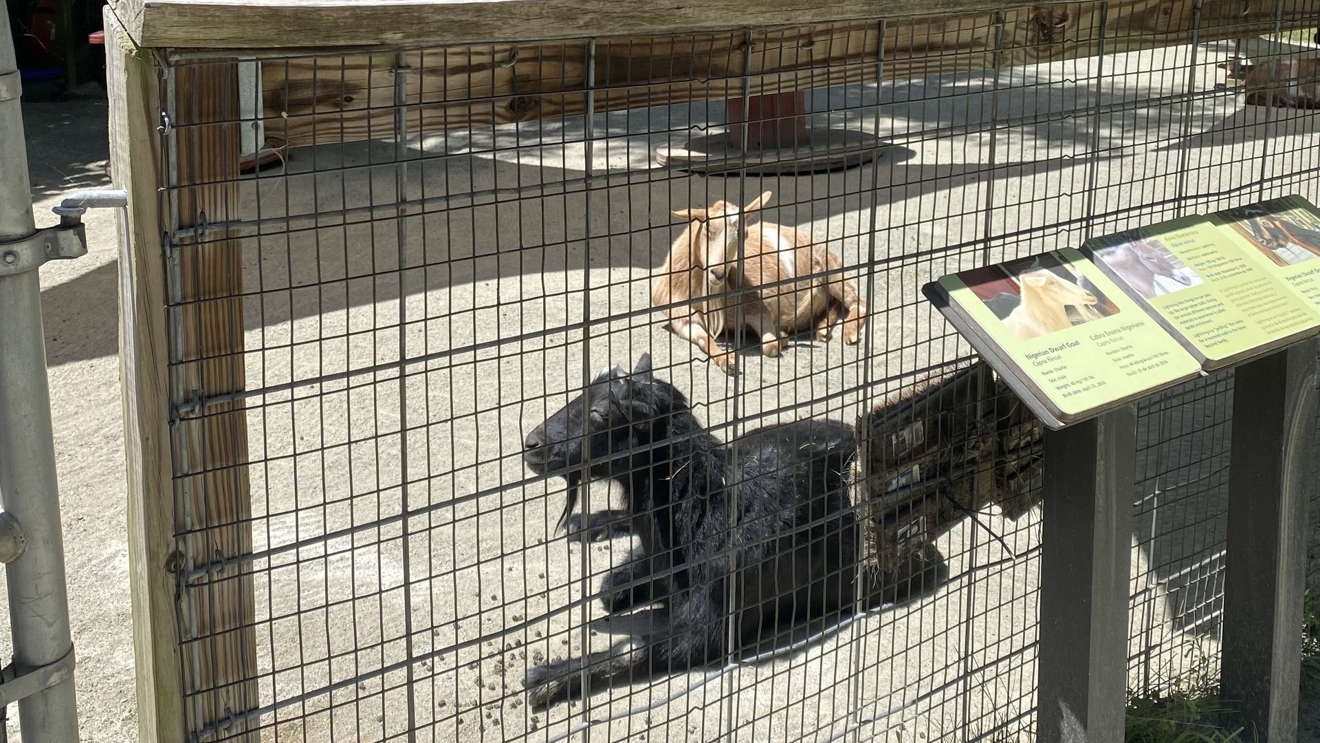 museum of life and science in Durham NC