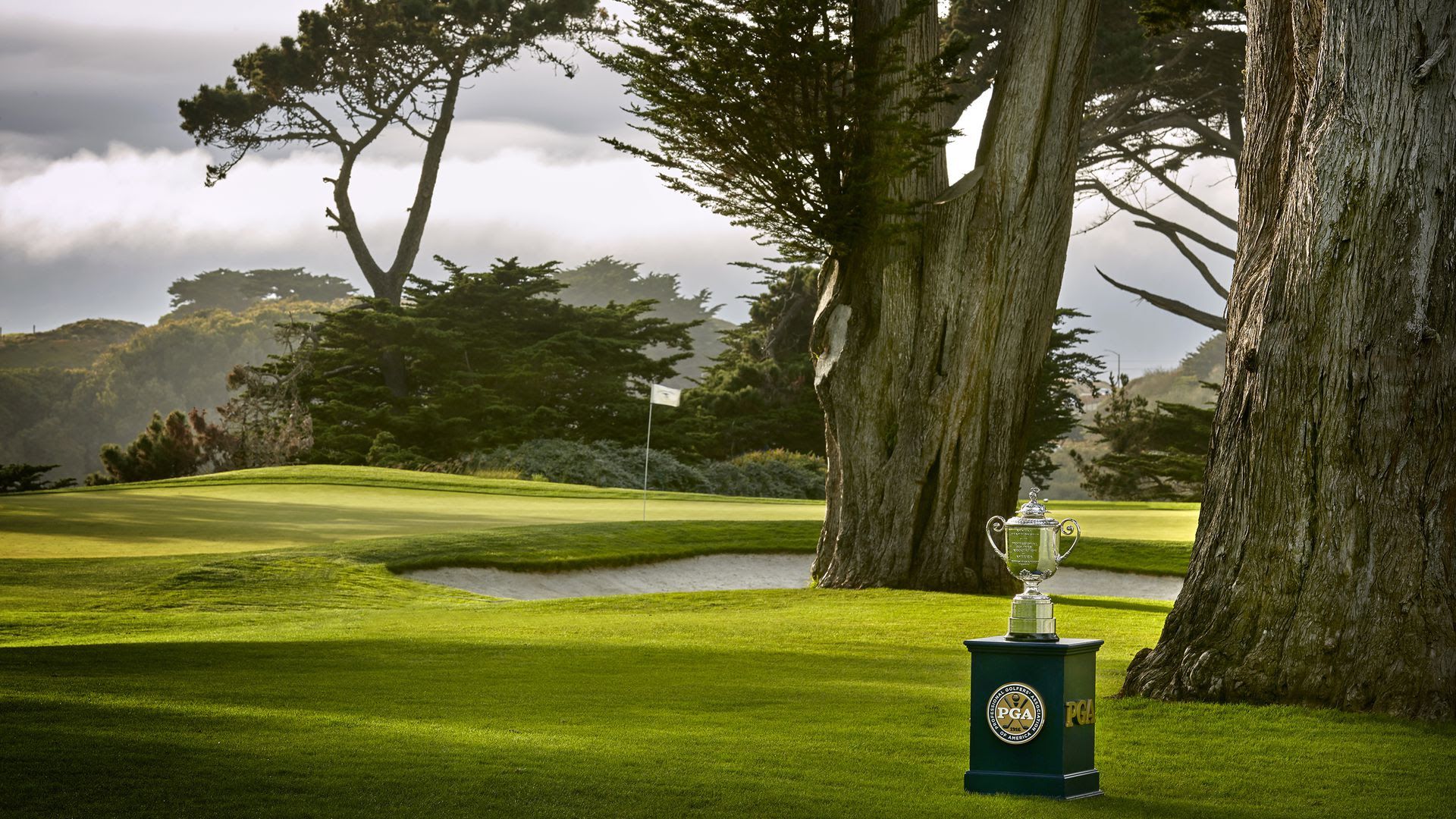 The PGA field. Photo: Gary Kellner/PGA of America via Getty Images