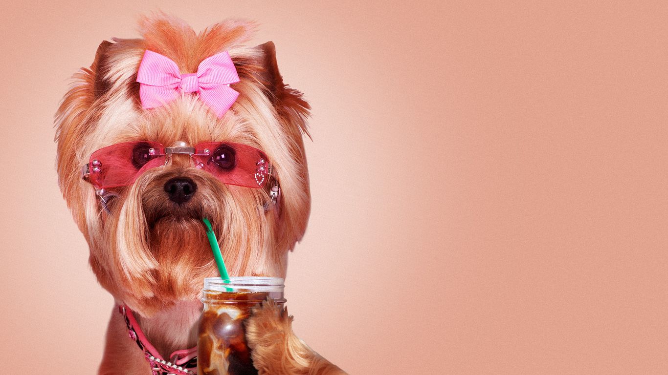 Mapped: Salt Lake's dog-friendly restaurants and bars