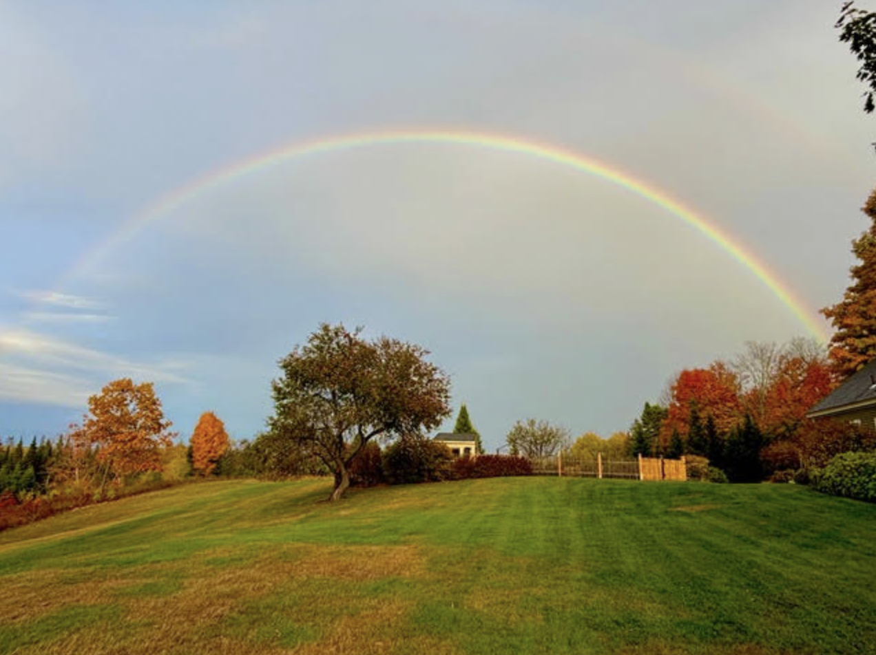 Rainbow over a field with trees that are changing color