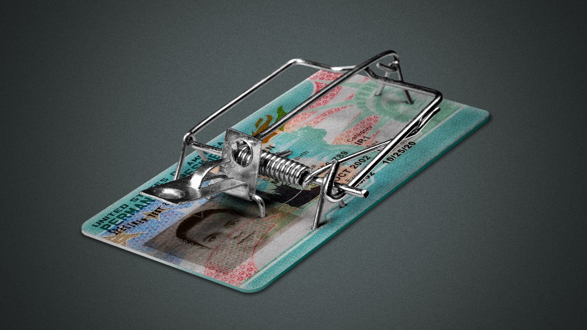 Illustration of a United States green card as a mousetrap. 