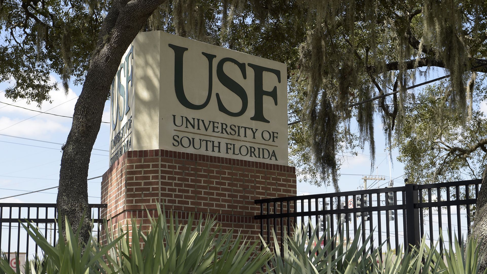 University of South Florida.