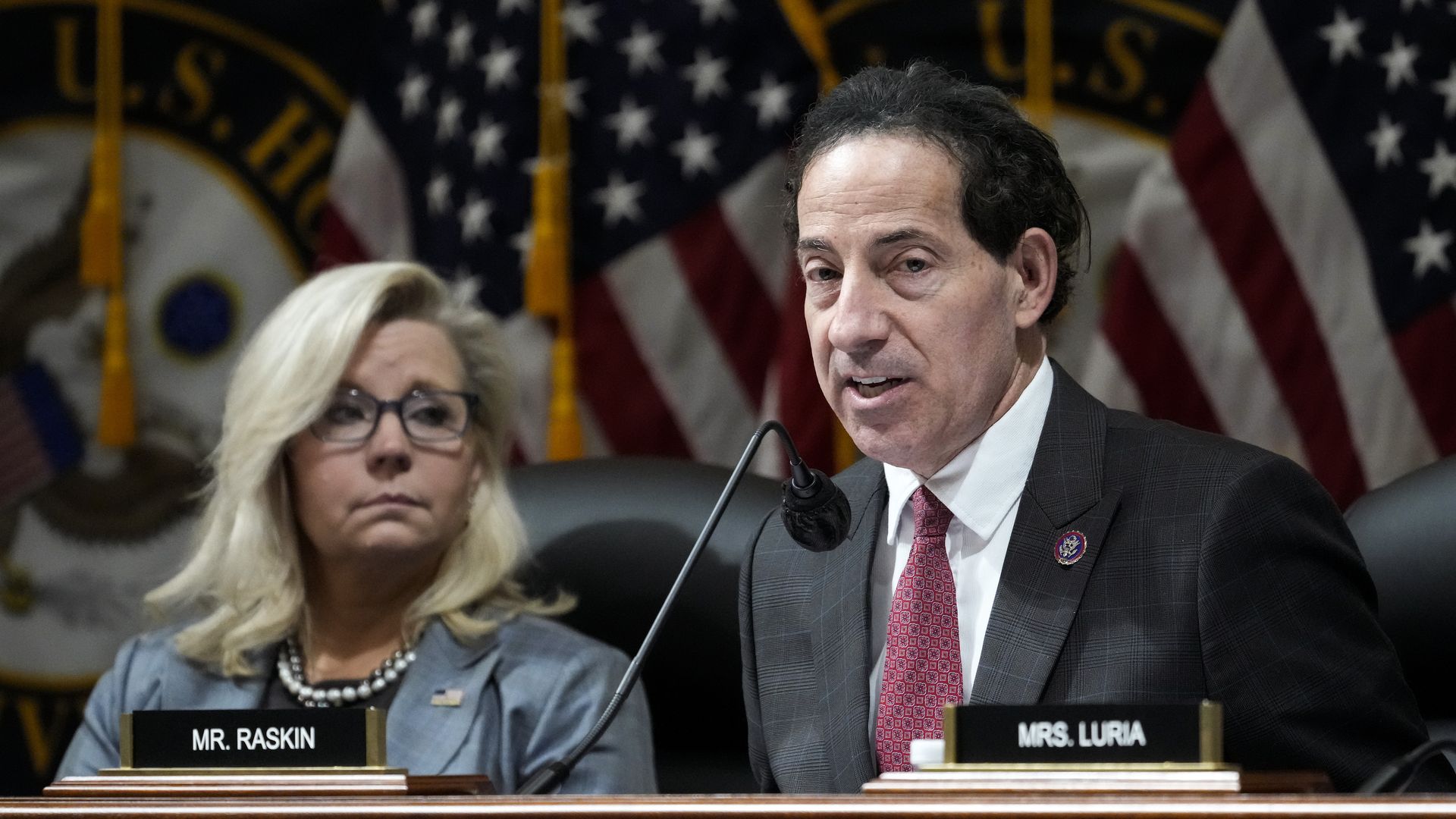 Liz Cheney and Jamie Raskin