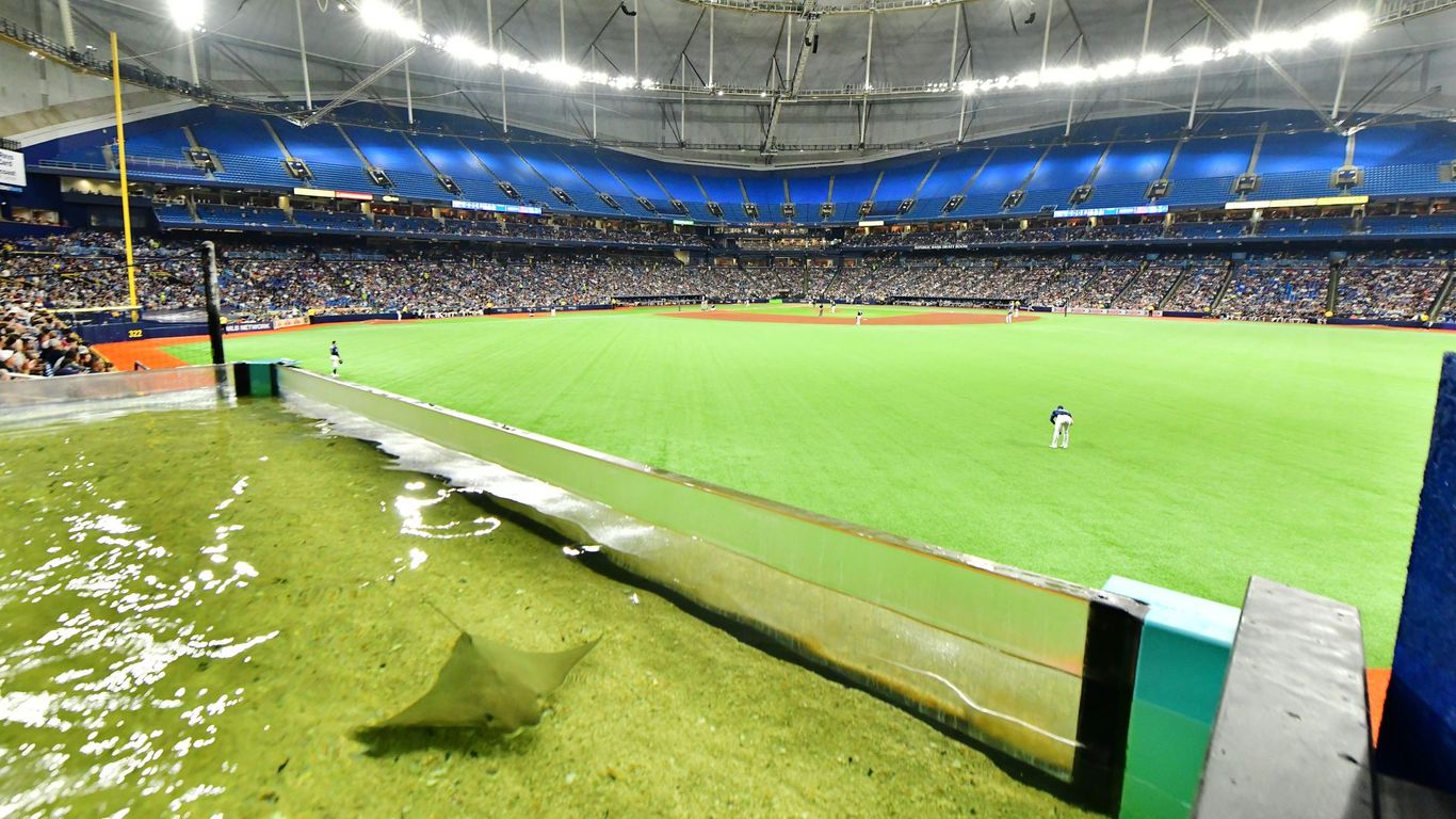 The rays are returning to Tropicana Field's outfield tank - Axios Tampa Bay