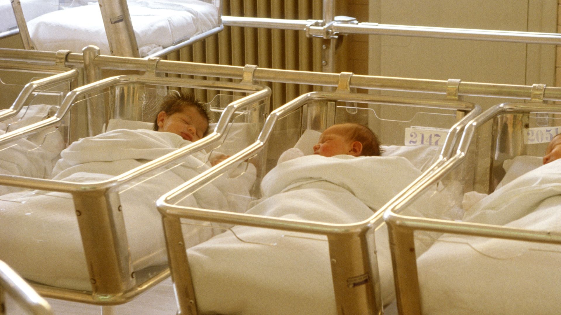 Newborn babies sleep in a hospital nursery.