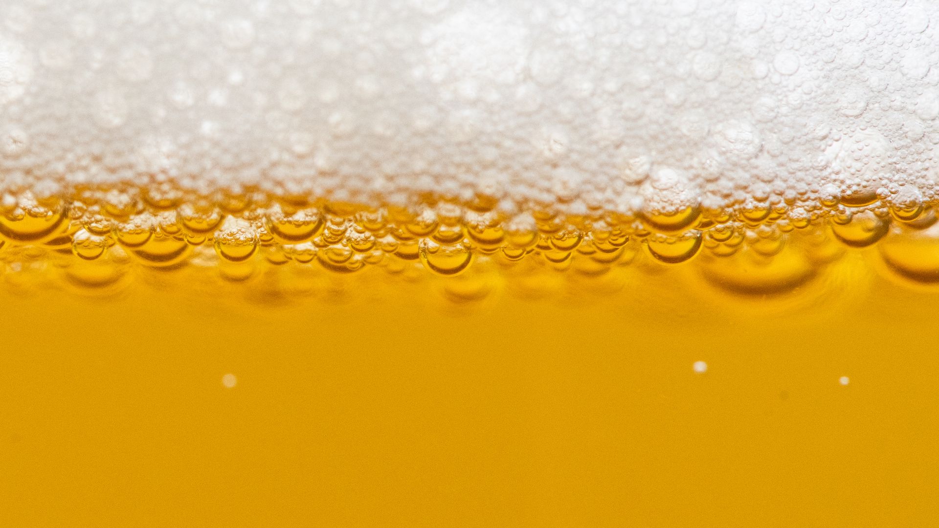 A close up of beer and foam