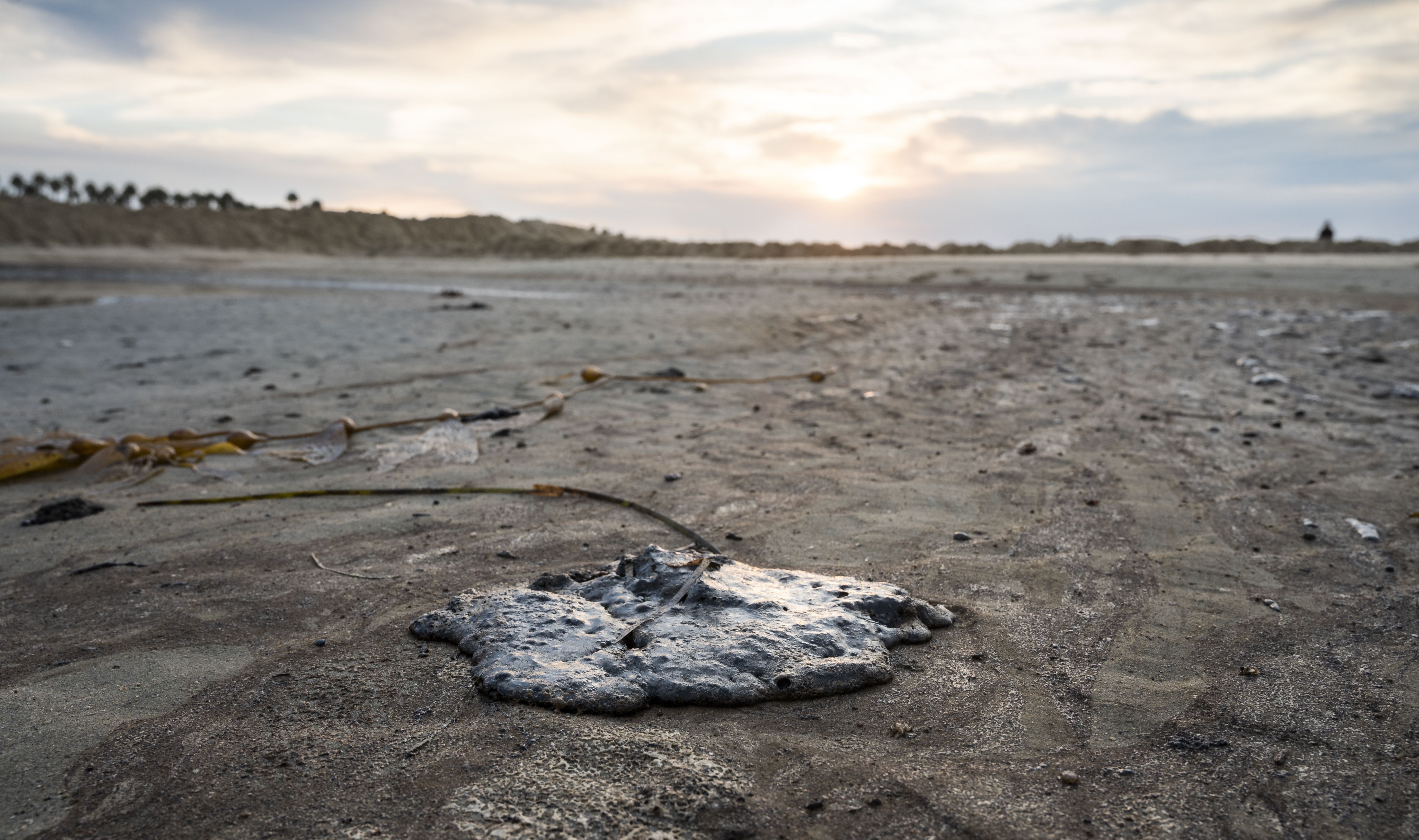 A globule of oil lies on the sand at the mouth of the Santa Ana River at the Huntington Beach
